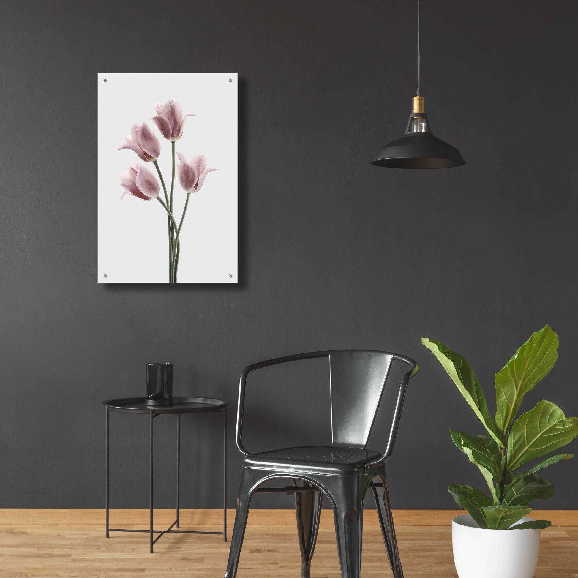 Epic Art 'Tulips Pink' by Design Fabrikken, Acrylic Glass Wall Art,24x36