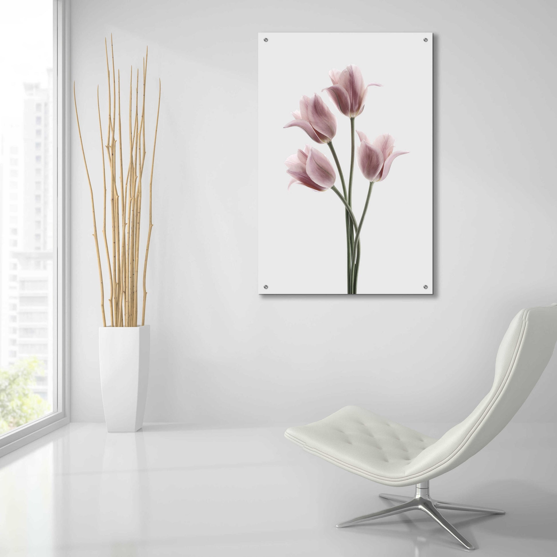 Epic Art 'Tulips Pink' by Design Fabrikken, Acrylic Glass Wall Art,24x36