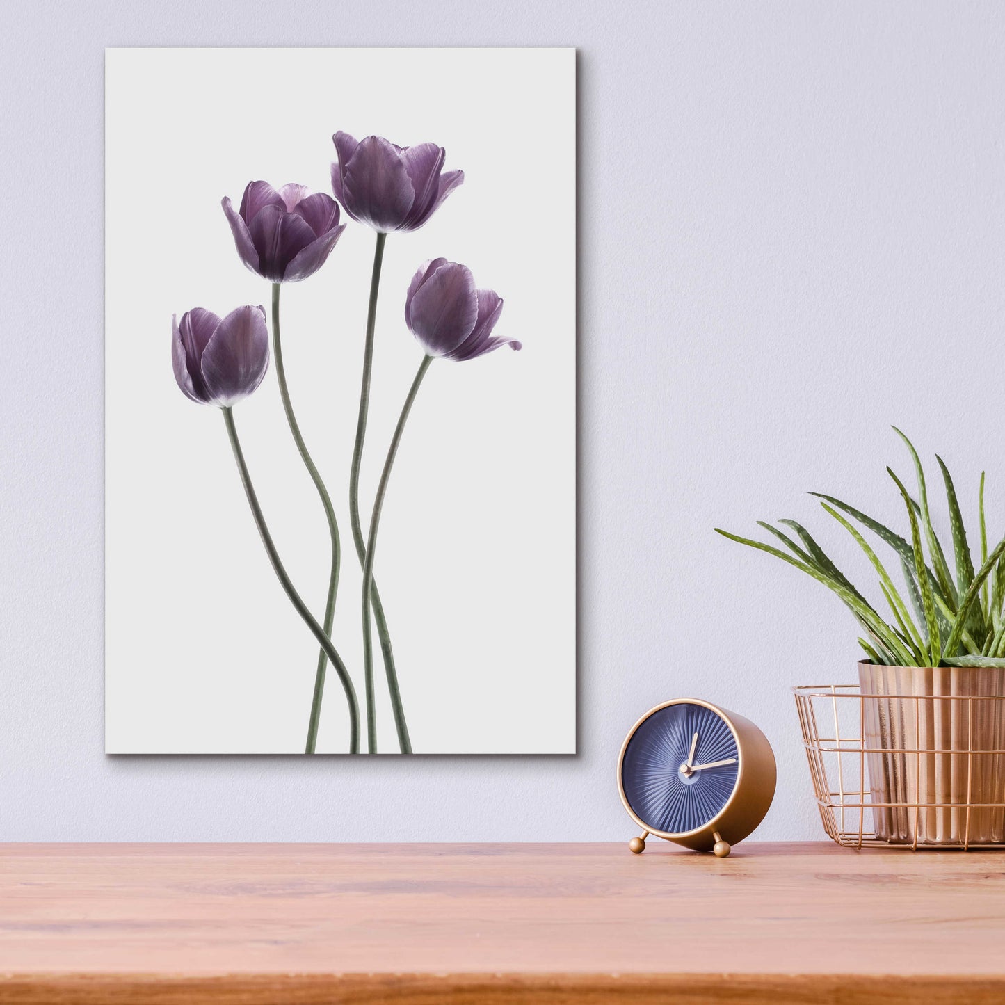 Epic Art 'Tulips Purple' by Design Fabrikken, Acrylic Glass Wall Art,12x16