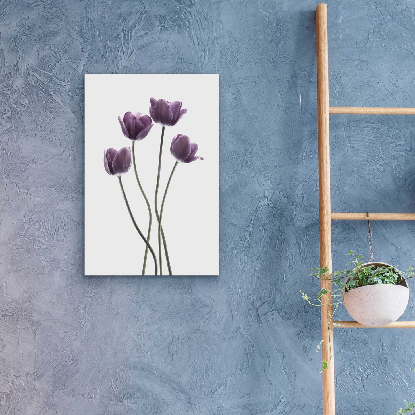 Epic Art 'Tulips Purple' by Design Fabrikken, Acrylic Glass Wall Art,16x24