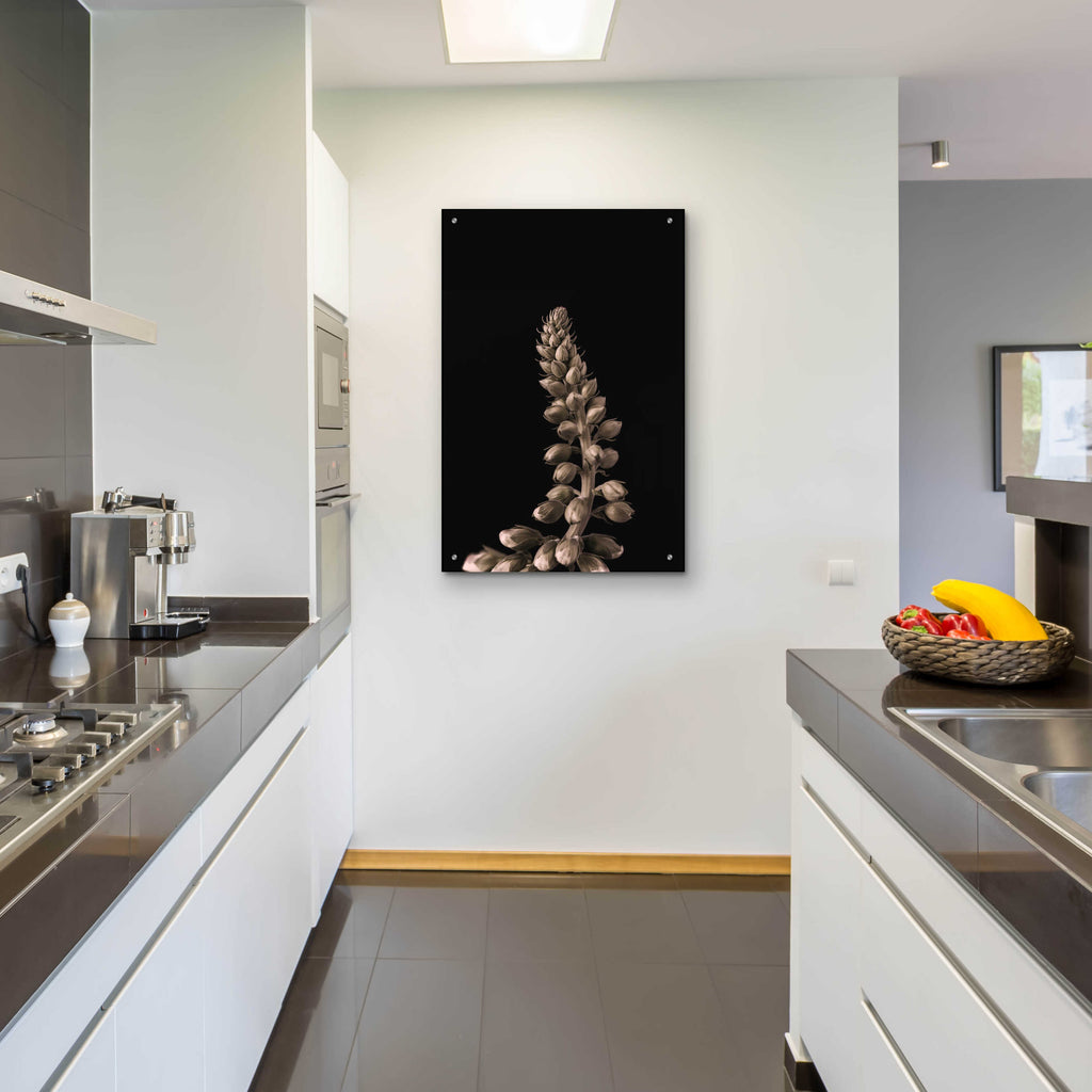 Epic Art 'Upwards 2' by Design Fabrikken, Acrylic Glass Wall Art,24x36