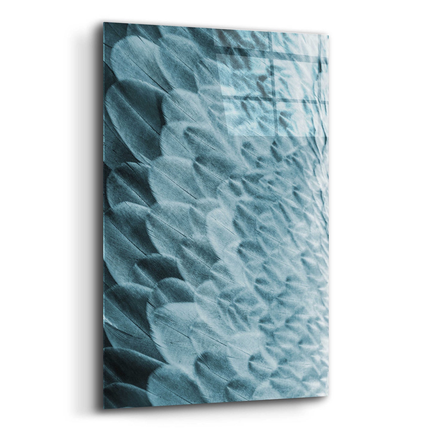 Epic Art 'Volture I' by Design Fabrikken, Acrylic Glass Wall Art,12x16