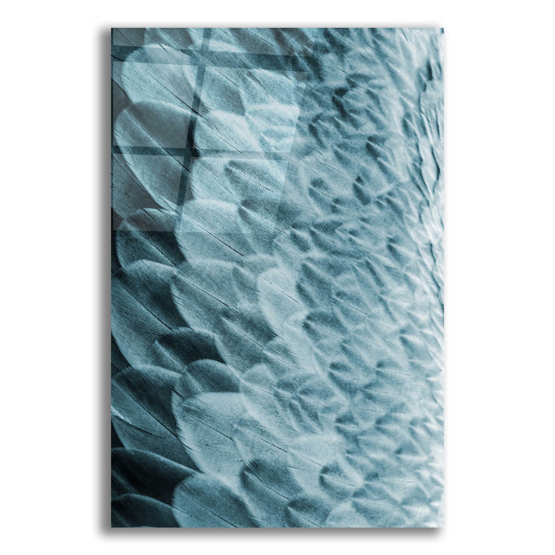 Epic Art 'Volture I' by Design Fabrikken, Acrylic Glass Wall Art,12x16