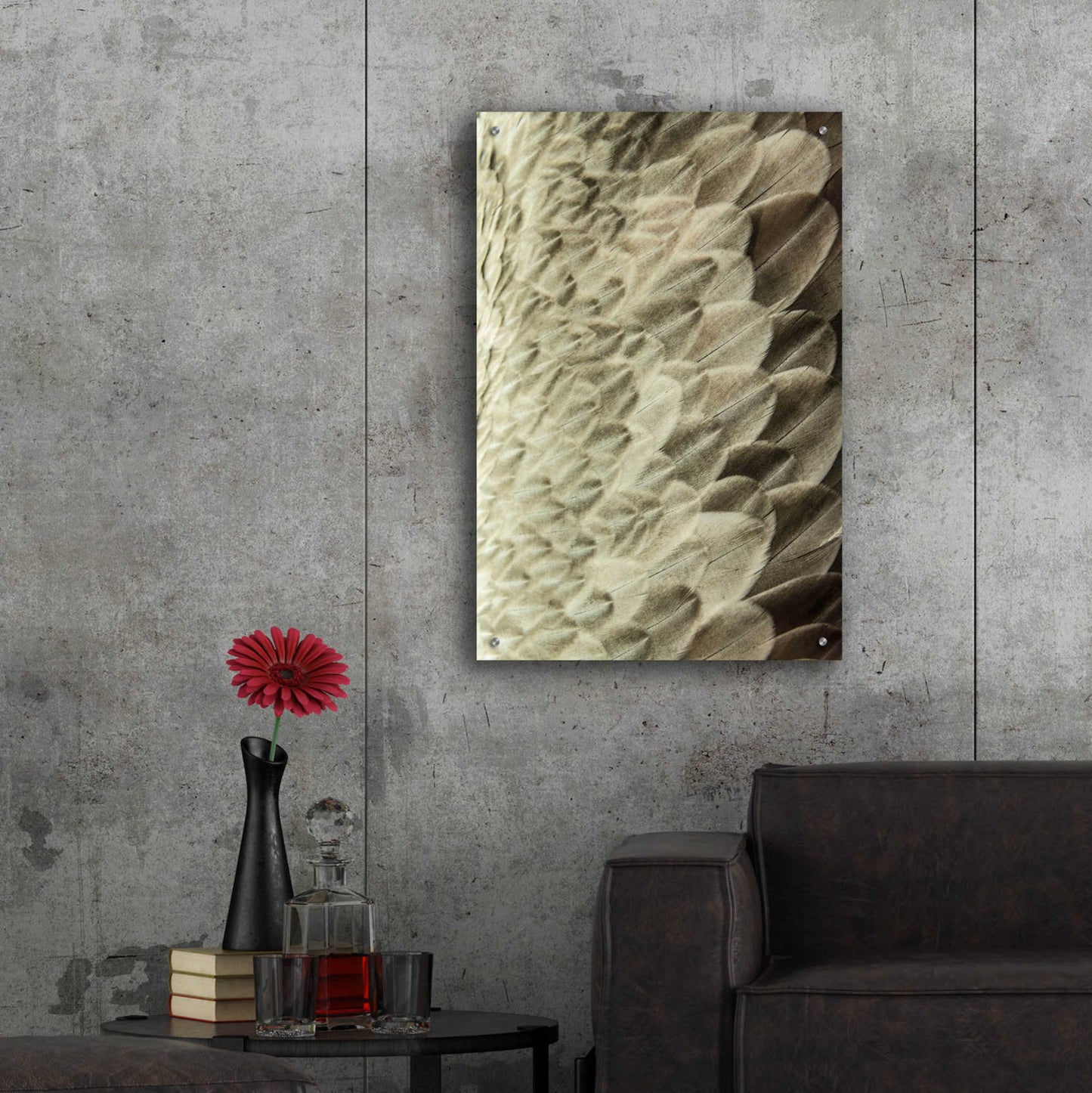 Epic Art 'Volture II' by Design Fabrikken, Acrylic Glass Wall Art,24x36