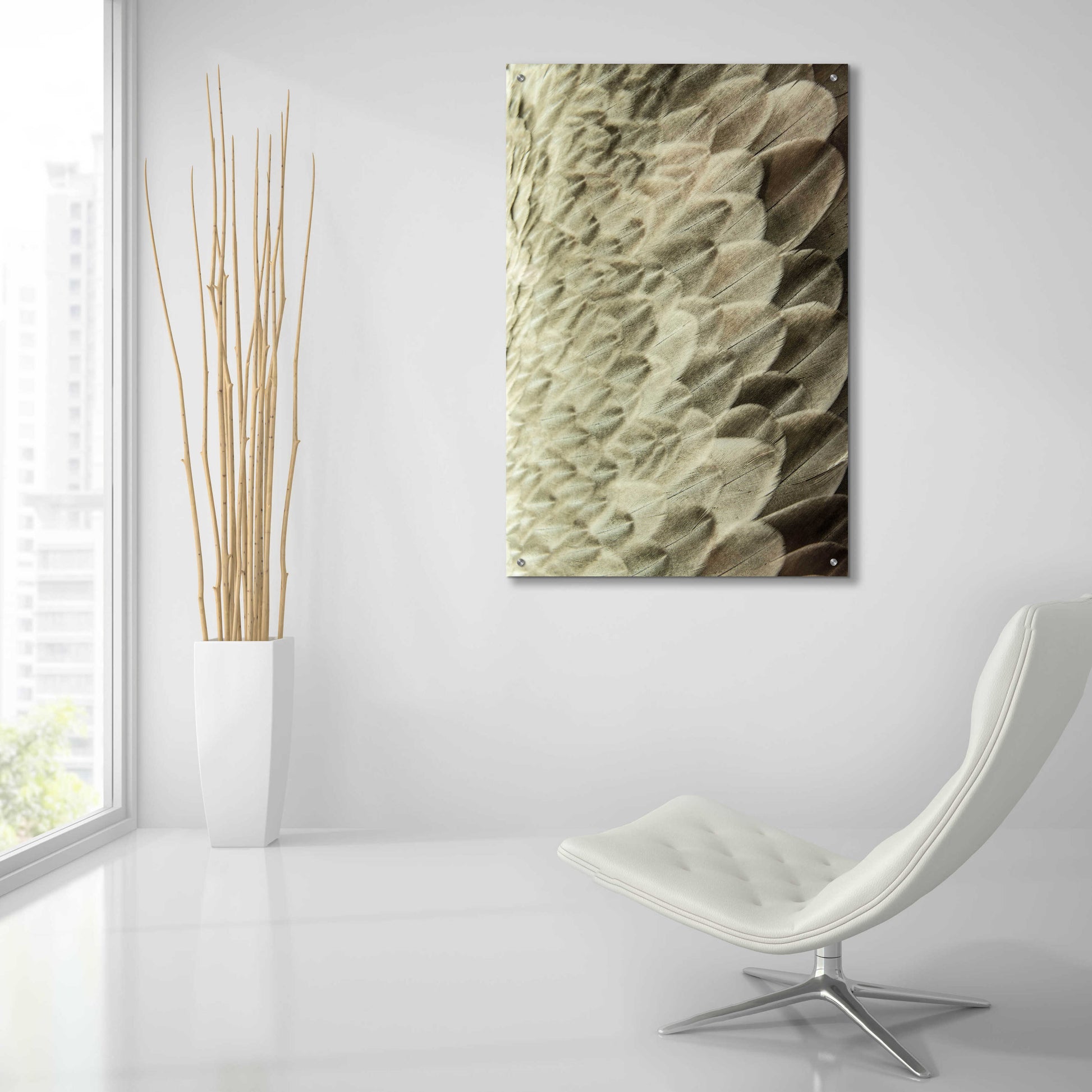 Epic Art 'Volture II' by Design Fabrikken, Acrylic Glass Wall Art,24x36