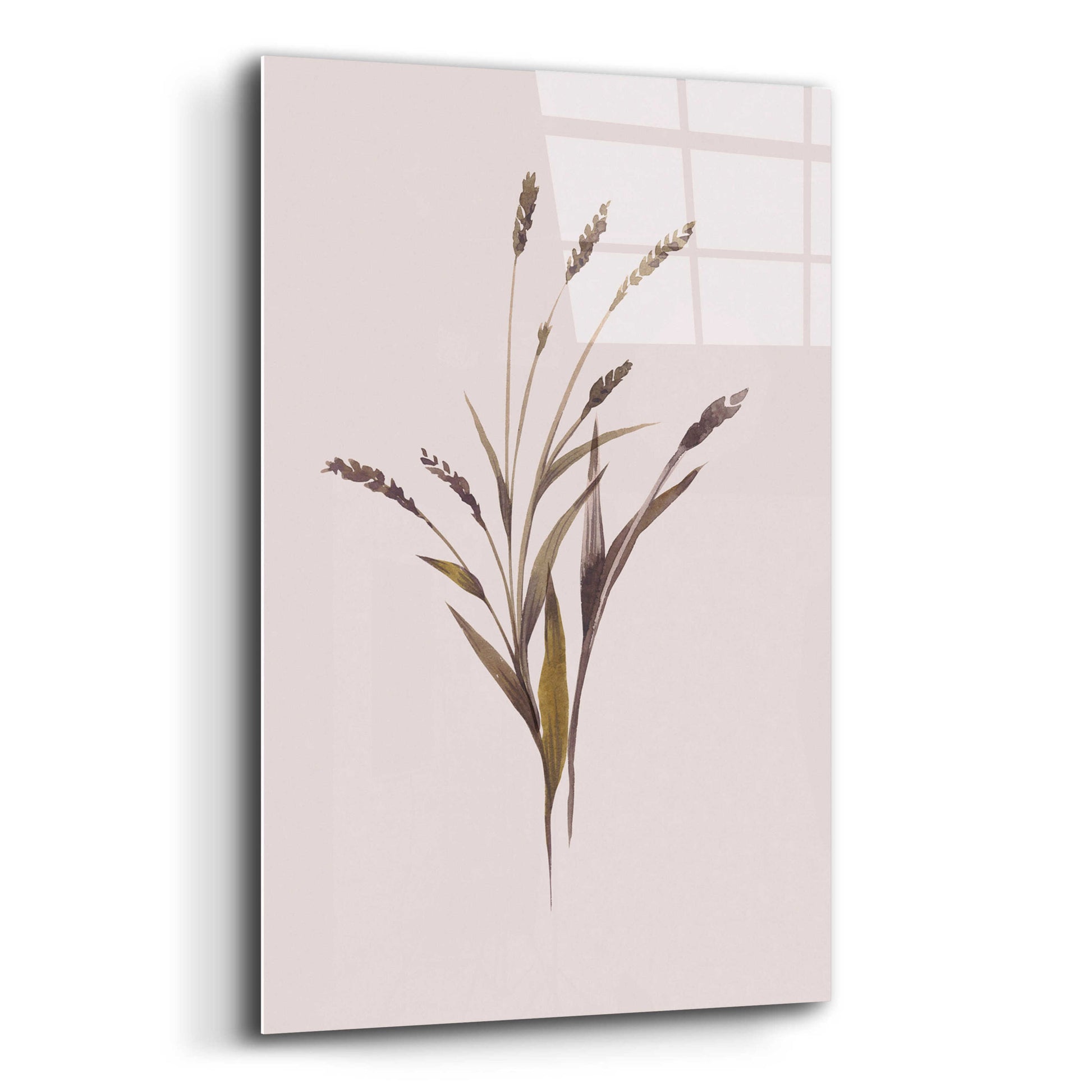 Epic Art 'Wheat' by Design Fabrikken, Acrylic Glass Wall Art,12x16