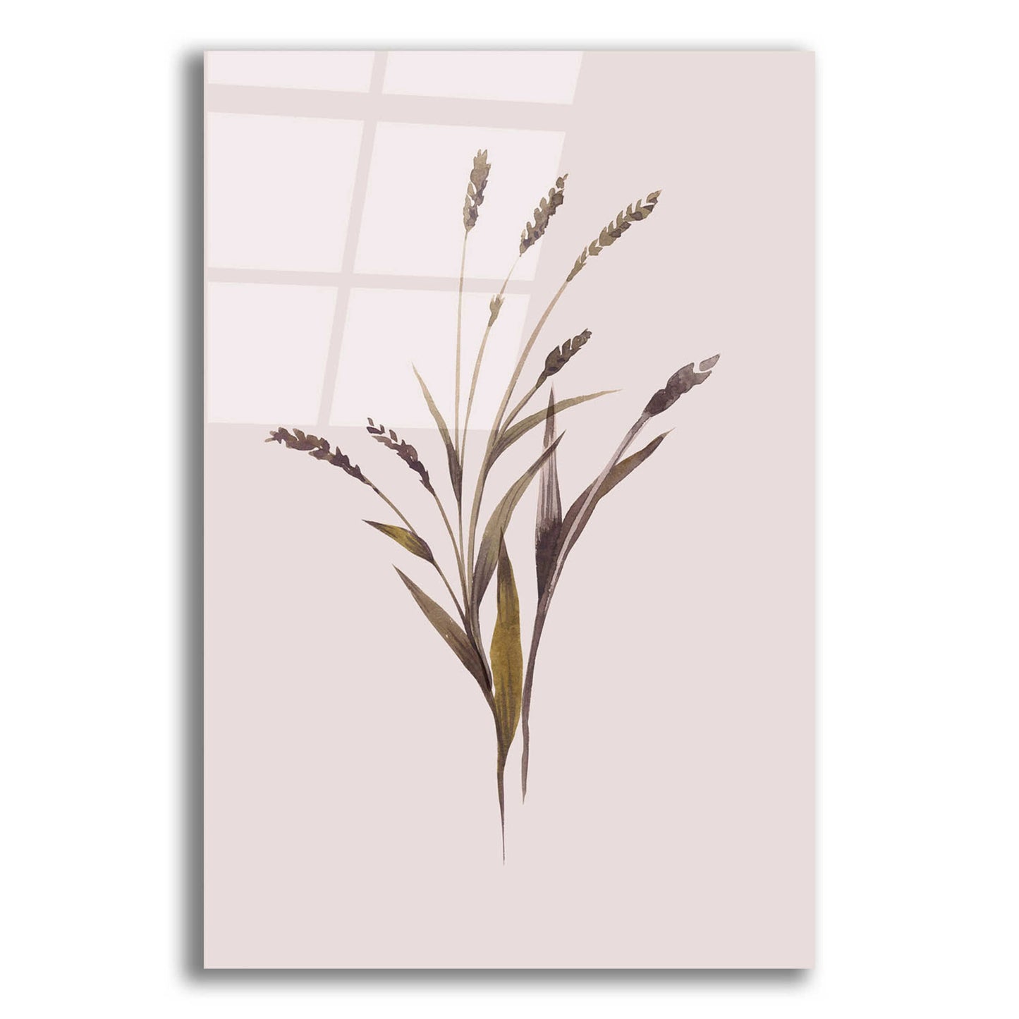 Epic Art 'Wheat' by Design Fabrikken, Acrylic Glass Wall Art,12x16