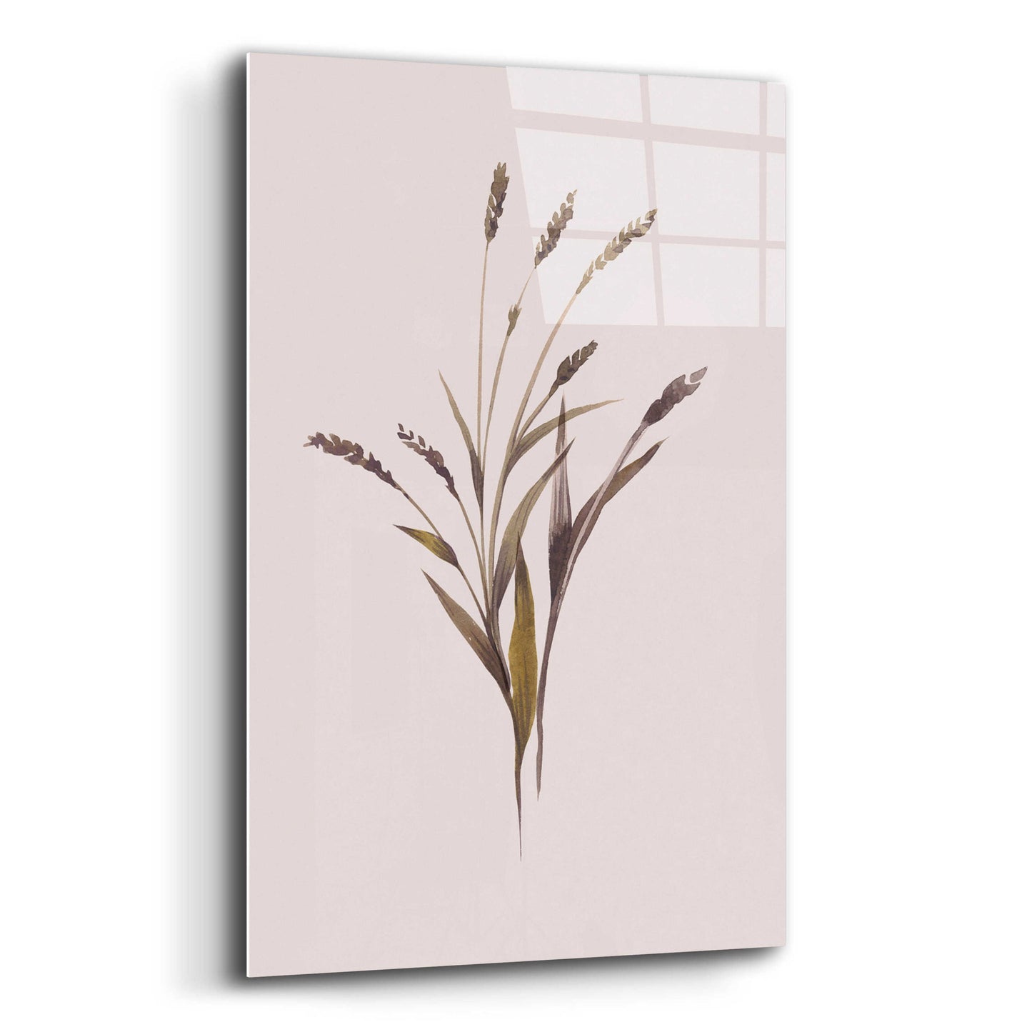 Epic Art 'Wheat' by Design Fabrikken, Acrylic Glass Wall Art,16x24