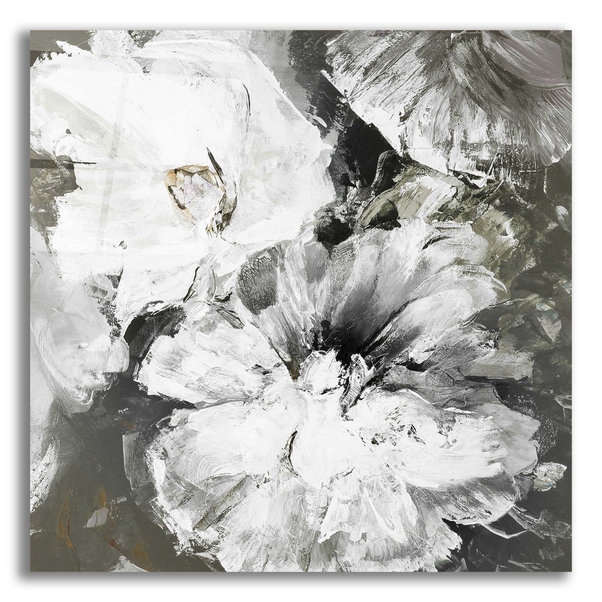 Epic Art 'White and Gray Flowers' by Design Fabrikken, Acrylic Glass Wall Art,12x12