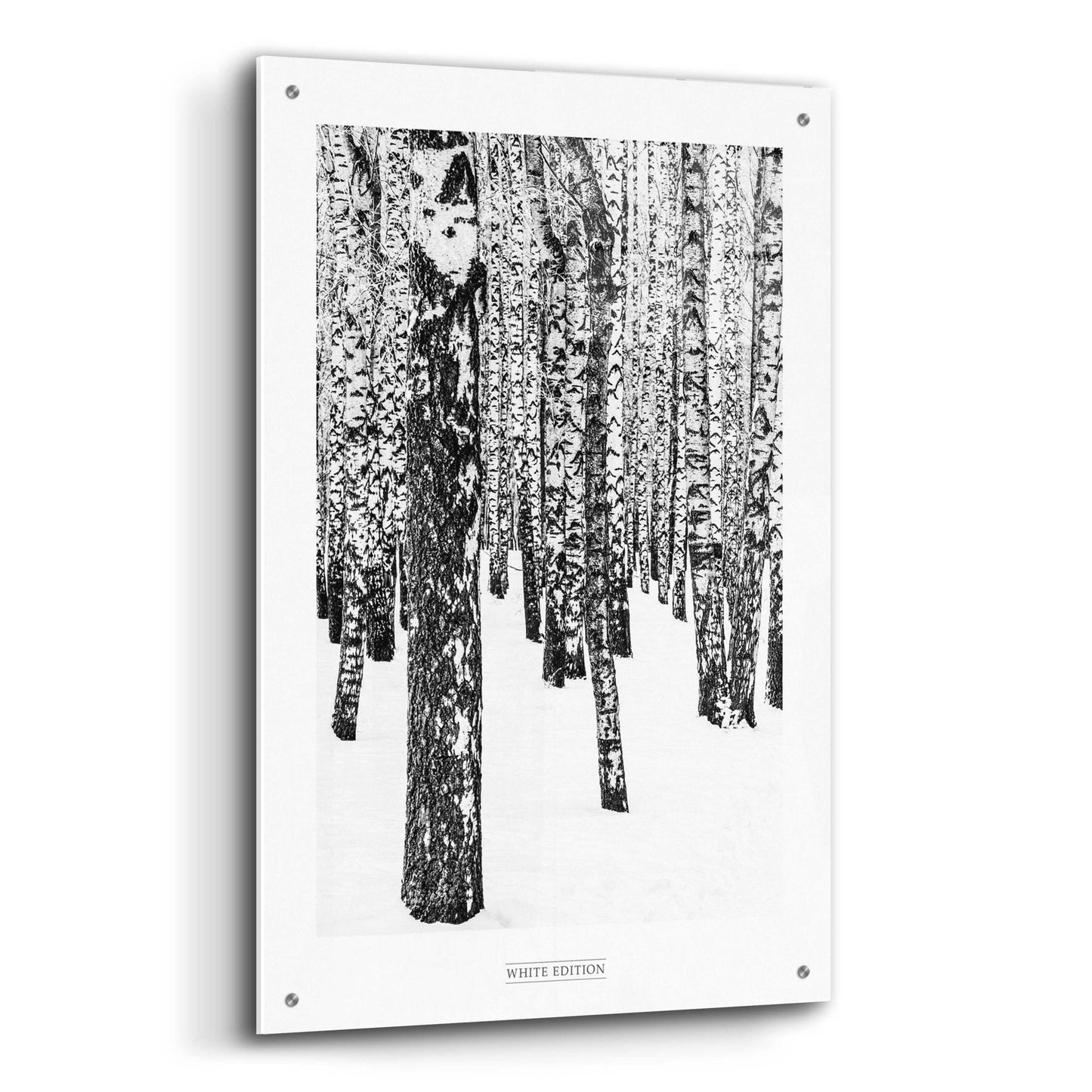 Epic Art 'White Edition 1' by Design Fabrikken, Acrylic Glass Wall Art,24x36