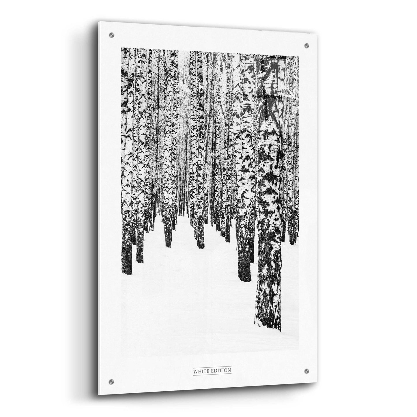 Epic Art 'White Edition 2' by Design Fabrikken, Acrylic Glass Wall Art,24x36