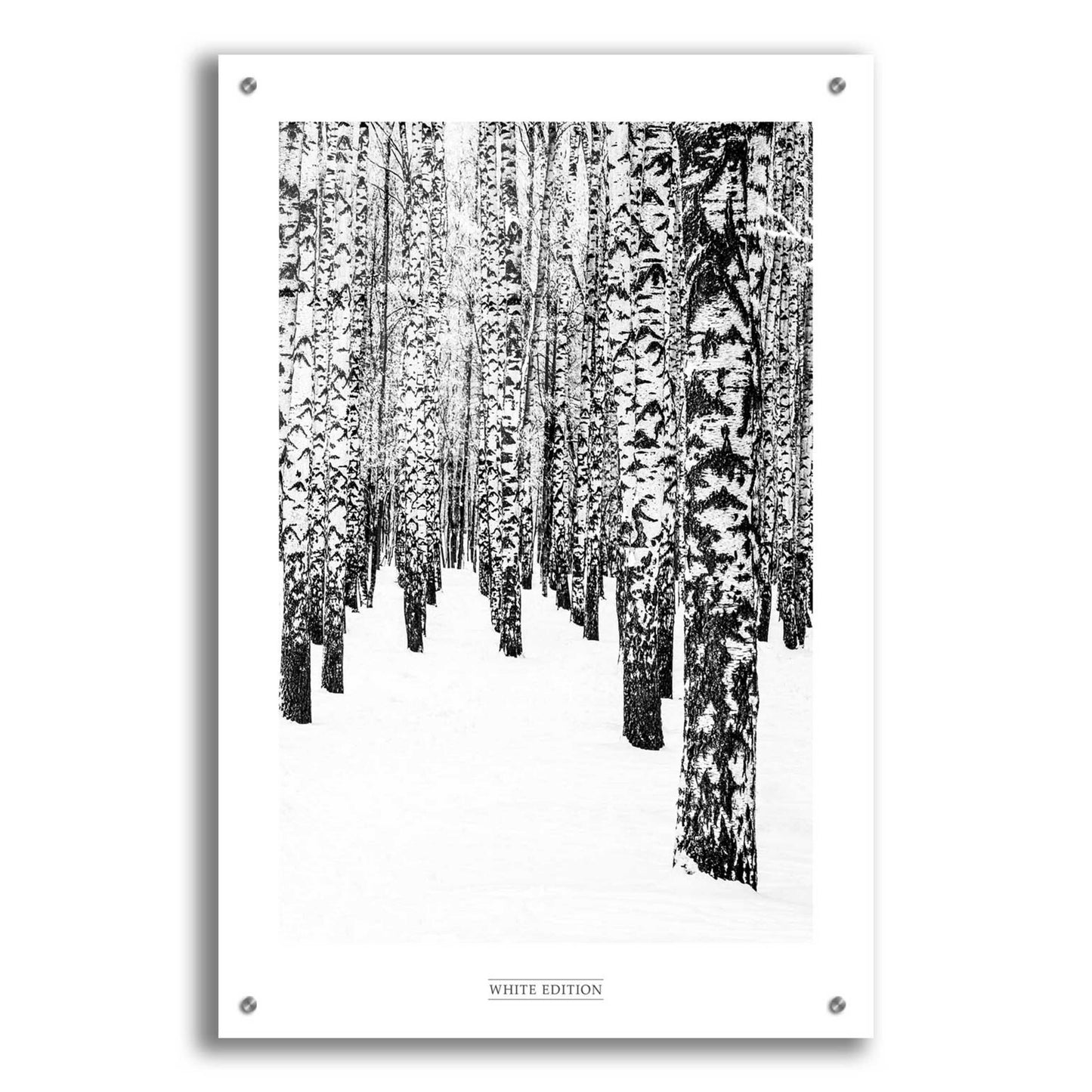 Epic Art 'White Edition 2' by Design Fabrikken, Acrylic Glass Wall Art,24x36