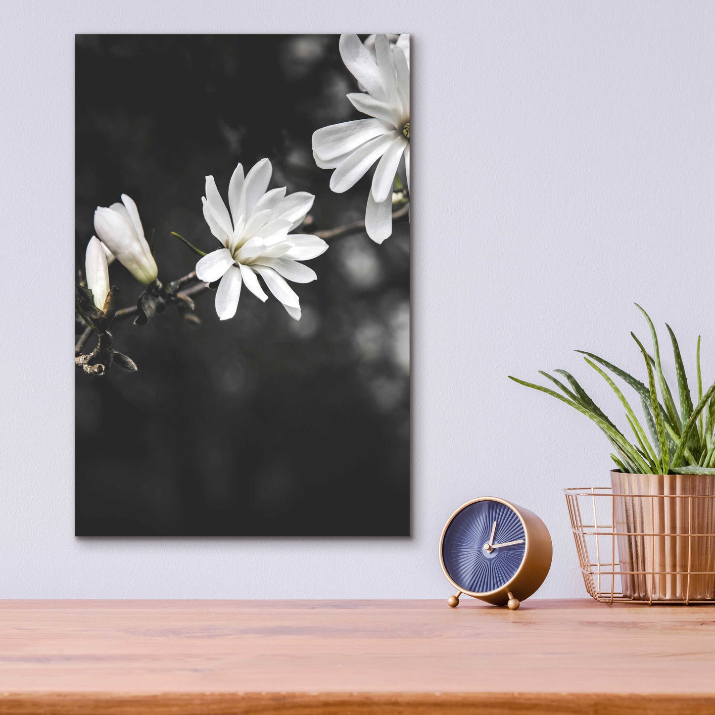 Epic Art 'White Flowers' by Design Fabrikken, Acrylic Glass Wall Art,12x16