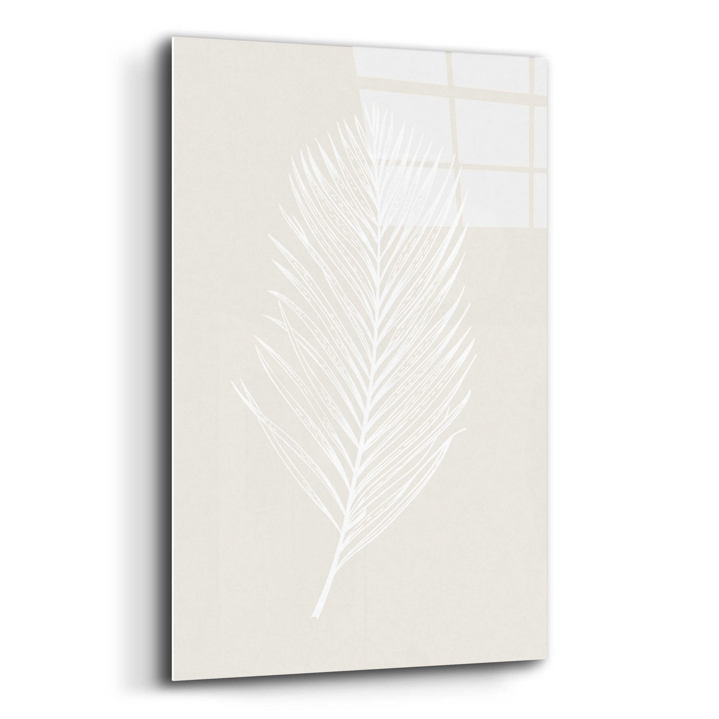 Epic Art 'White Leaf' by Design Fabrikken, Acrylic Glass Wall Art,12x16