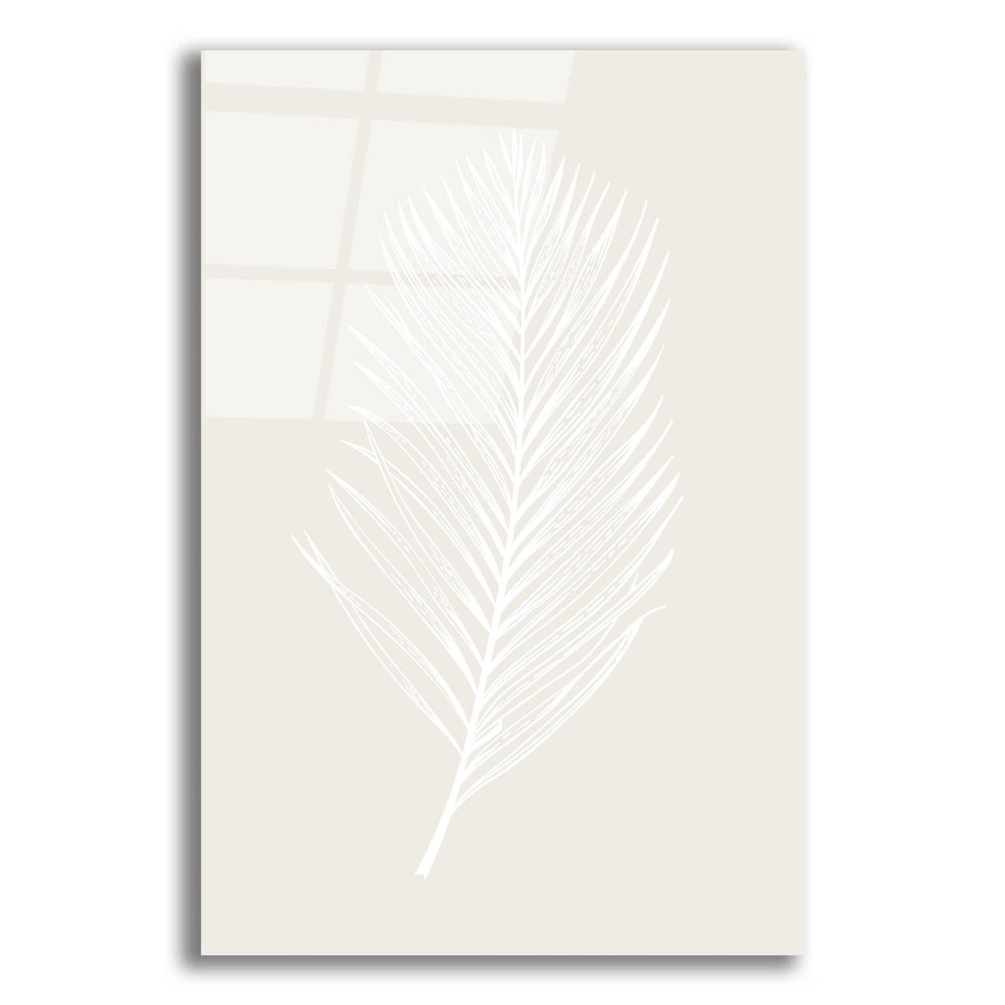 Epic Art 'White Leaf' by Design Fabrikken, Acrylic Glass Wall Art,12x16