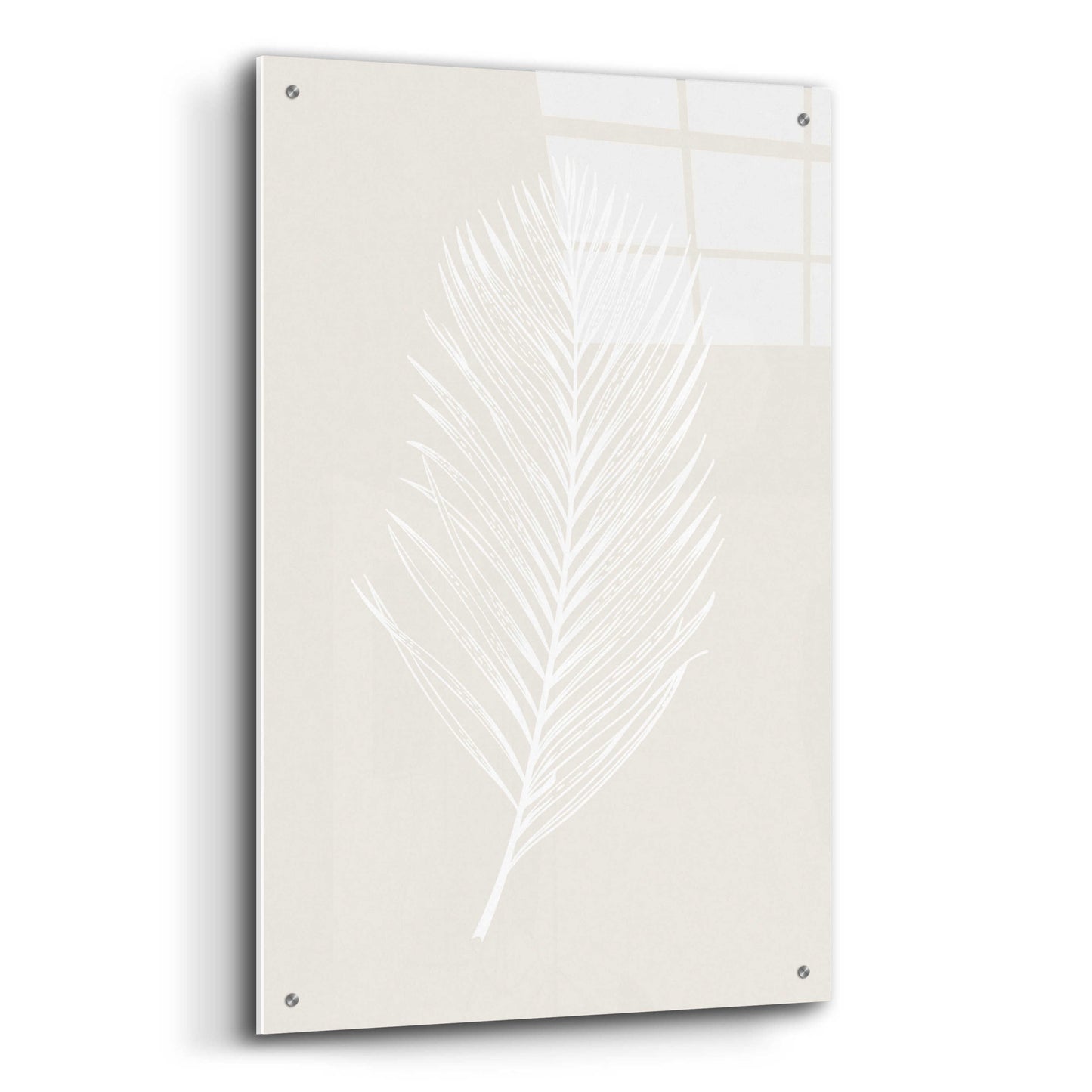 Epic Art 'White Leaf' by Design Fabrikken, Acrylic Glass Wall Art,24x36