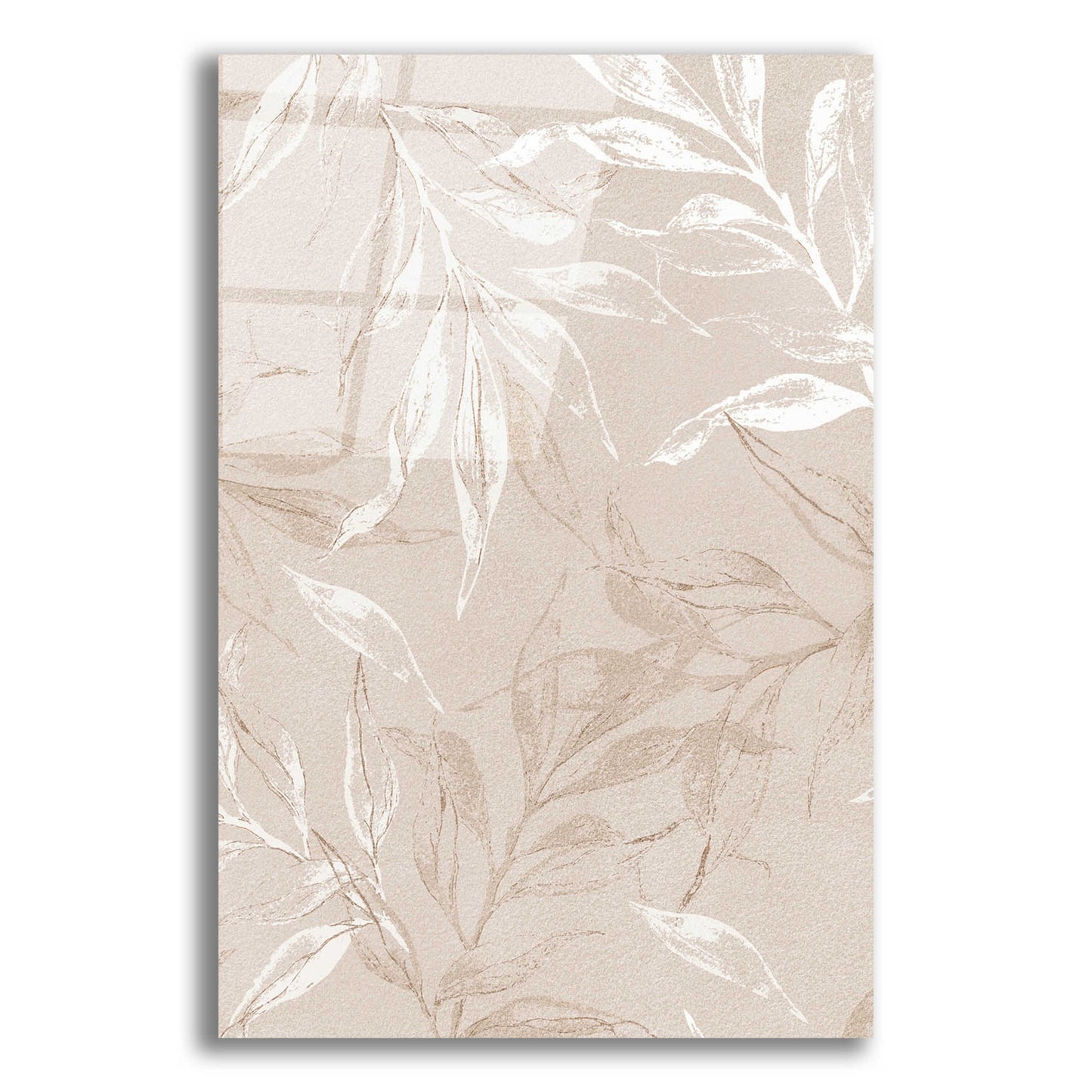 Epic Art 'White Leaves 2' by Design Fabrikken, Acrylic Glass Wall Art,12x16