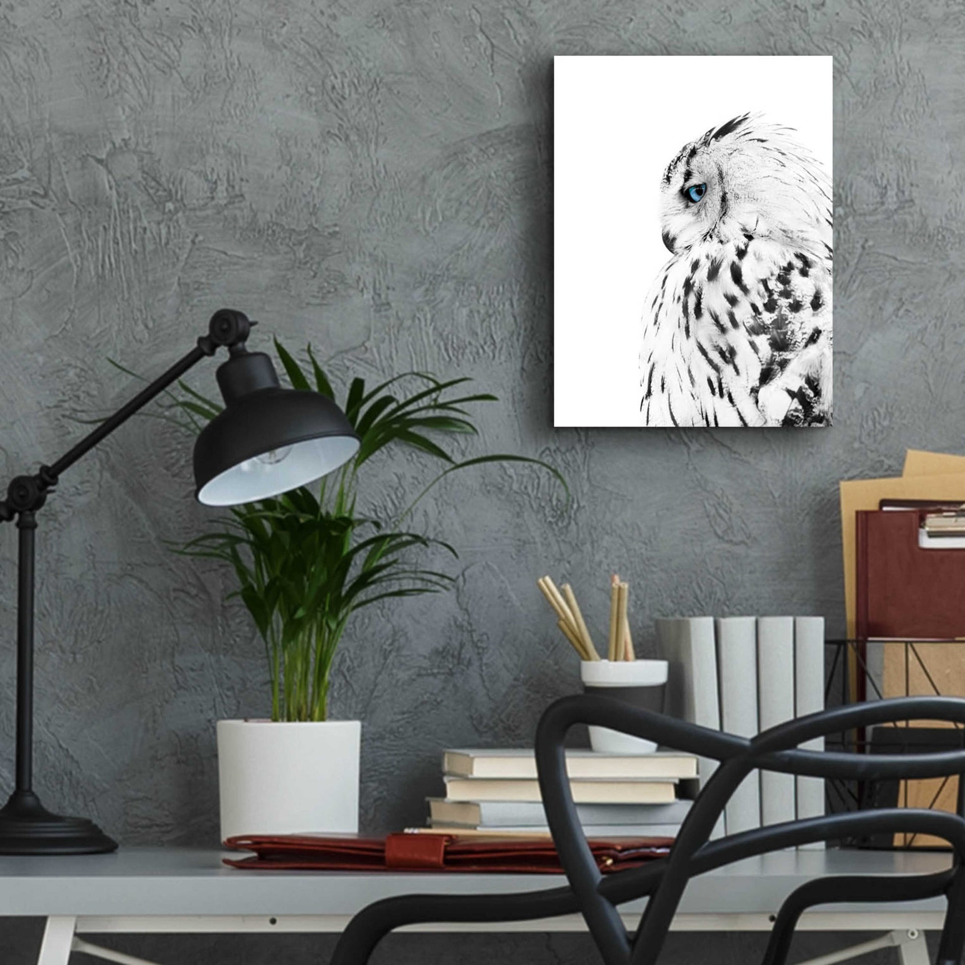 Epic Art 'White Owl' by Design Fabrikken, Acrylic Glass Wall Art,12x16