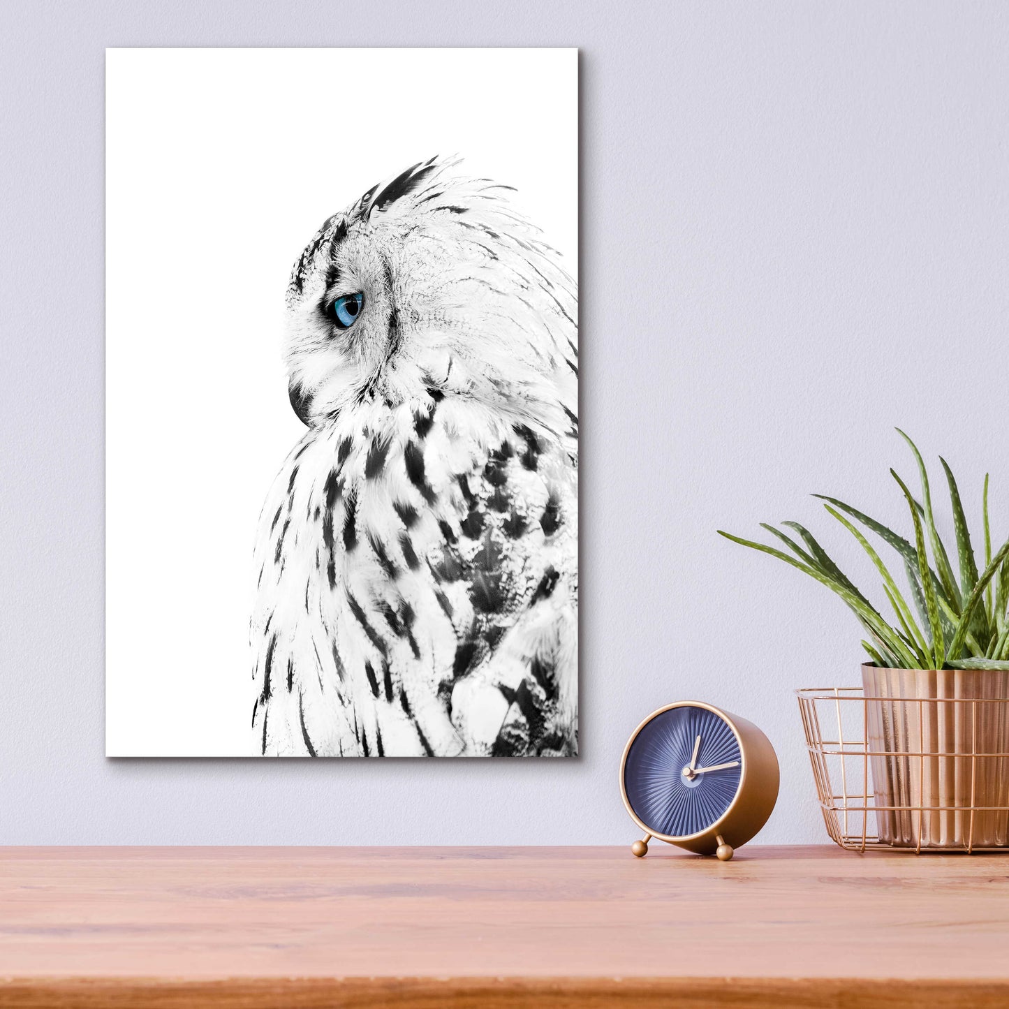 Epic Art 'White Owl' by Design Fabrikken, Acrylic Glass Wall Art,12x16