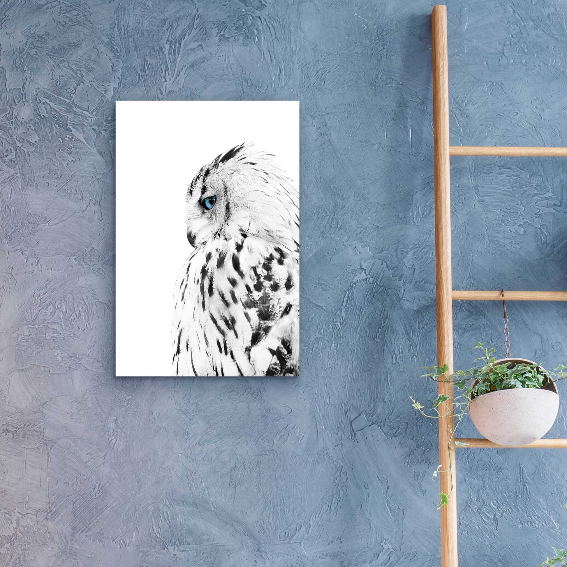 Epic Art 'White Owl' by Design Fabrikken, Acrylic Glass Wall Art,16x24