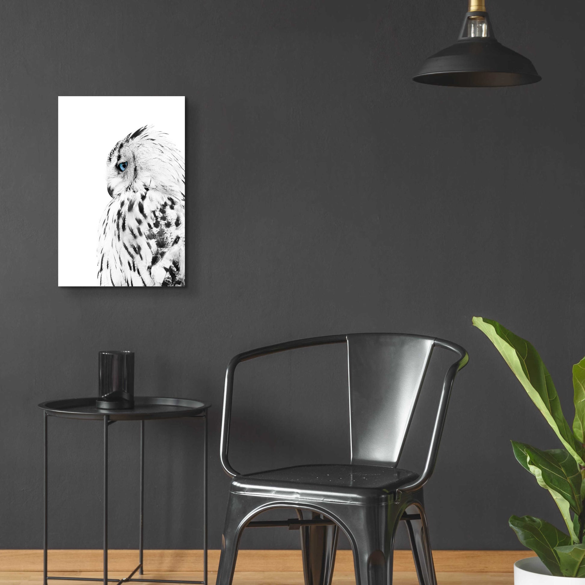 Epic Art 'White Owl' by Design Fabrikken, Acrylic Glass Wall Art,16x24