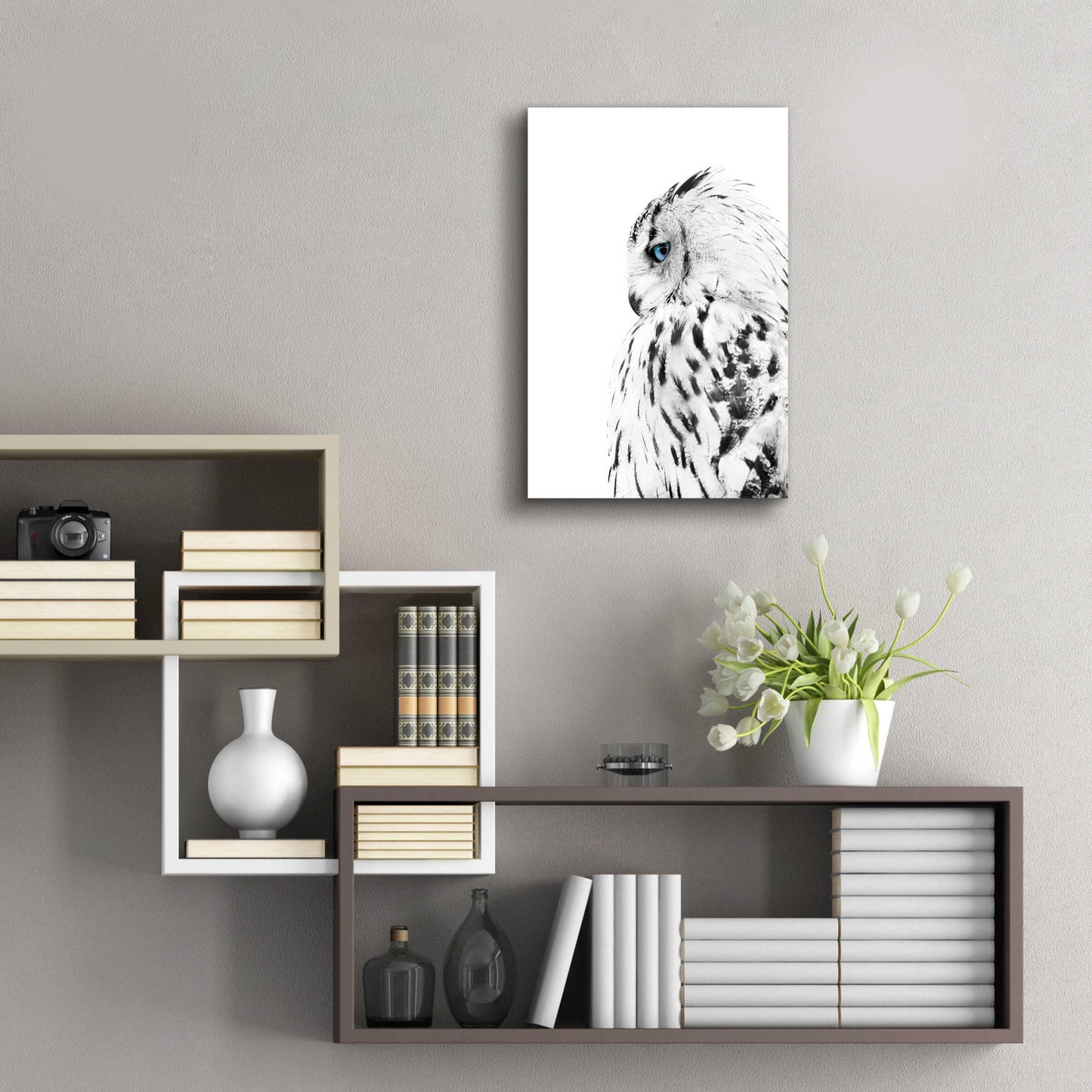 Epic Art 'White Owl' by Design Fabrikken, Acrylic Glass Wall Art,16x24