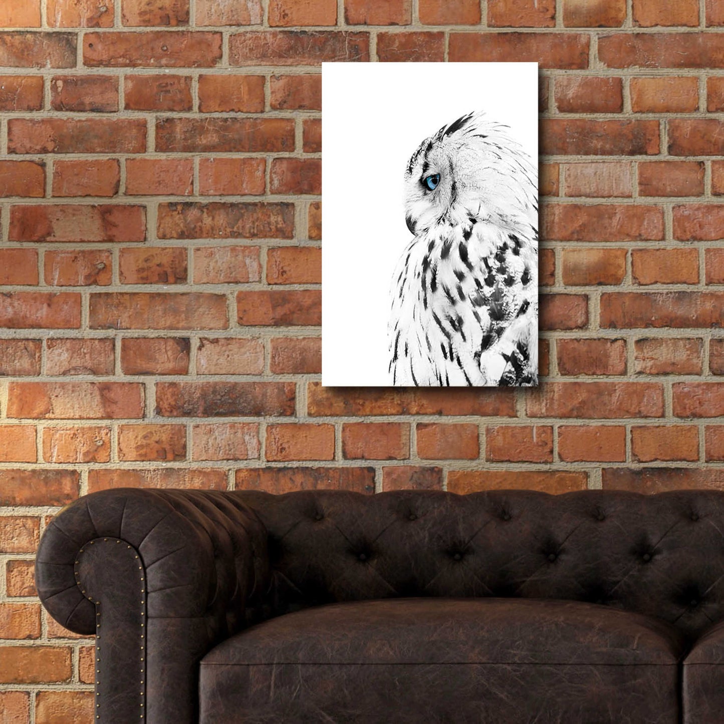 Epic Art 'White Owl' by Design Fabrikken, Acrylic Glass Wall Art,16x24