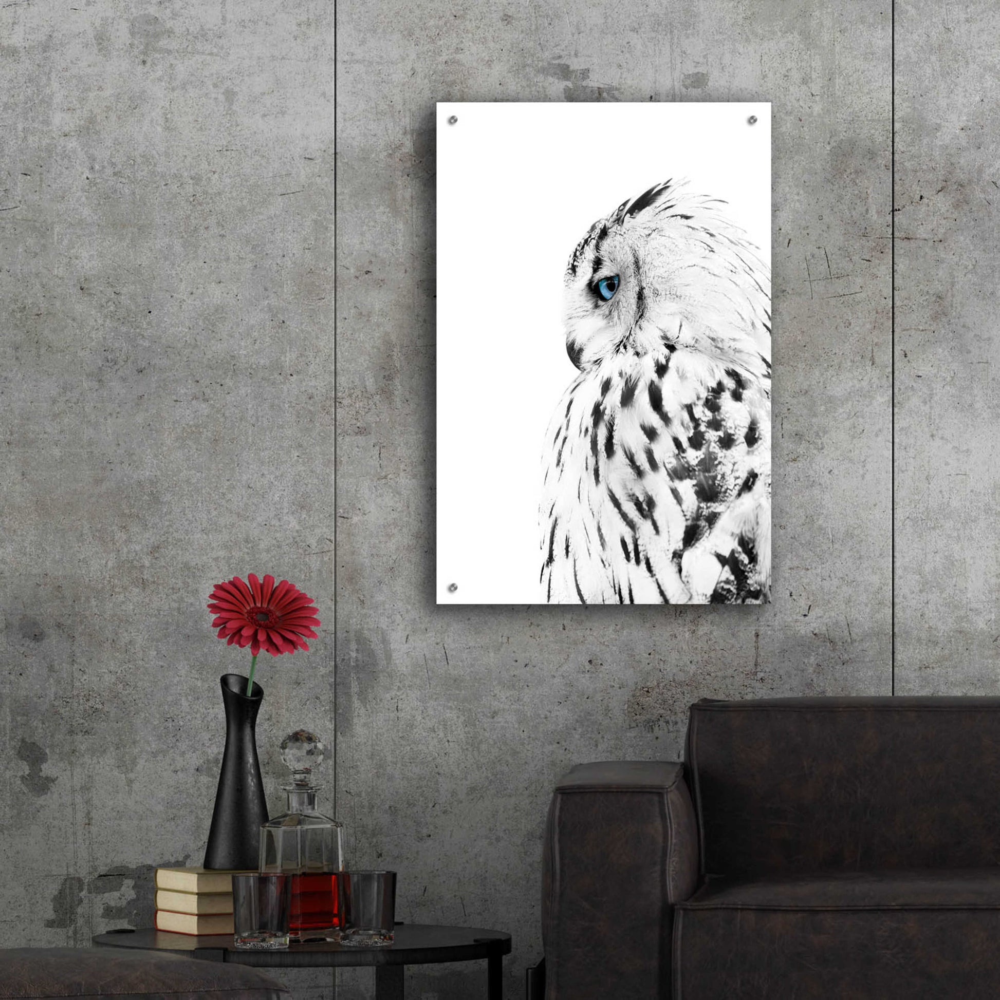 Epic Art 'White Owl' by Design Fabrikken, Acrylic Glass Wall Art,24x36