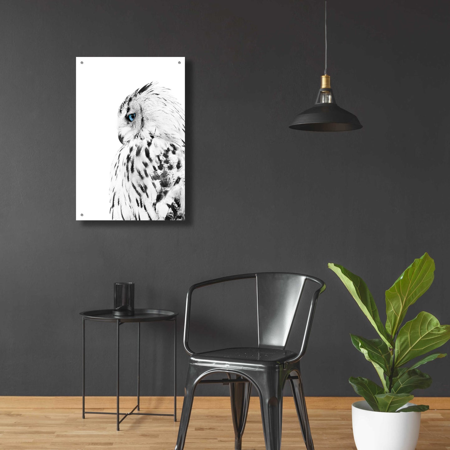 Epic Art 'White Owl' by Design Fabrikken, Acrylic Glass Wall Art,24x36