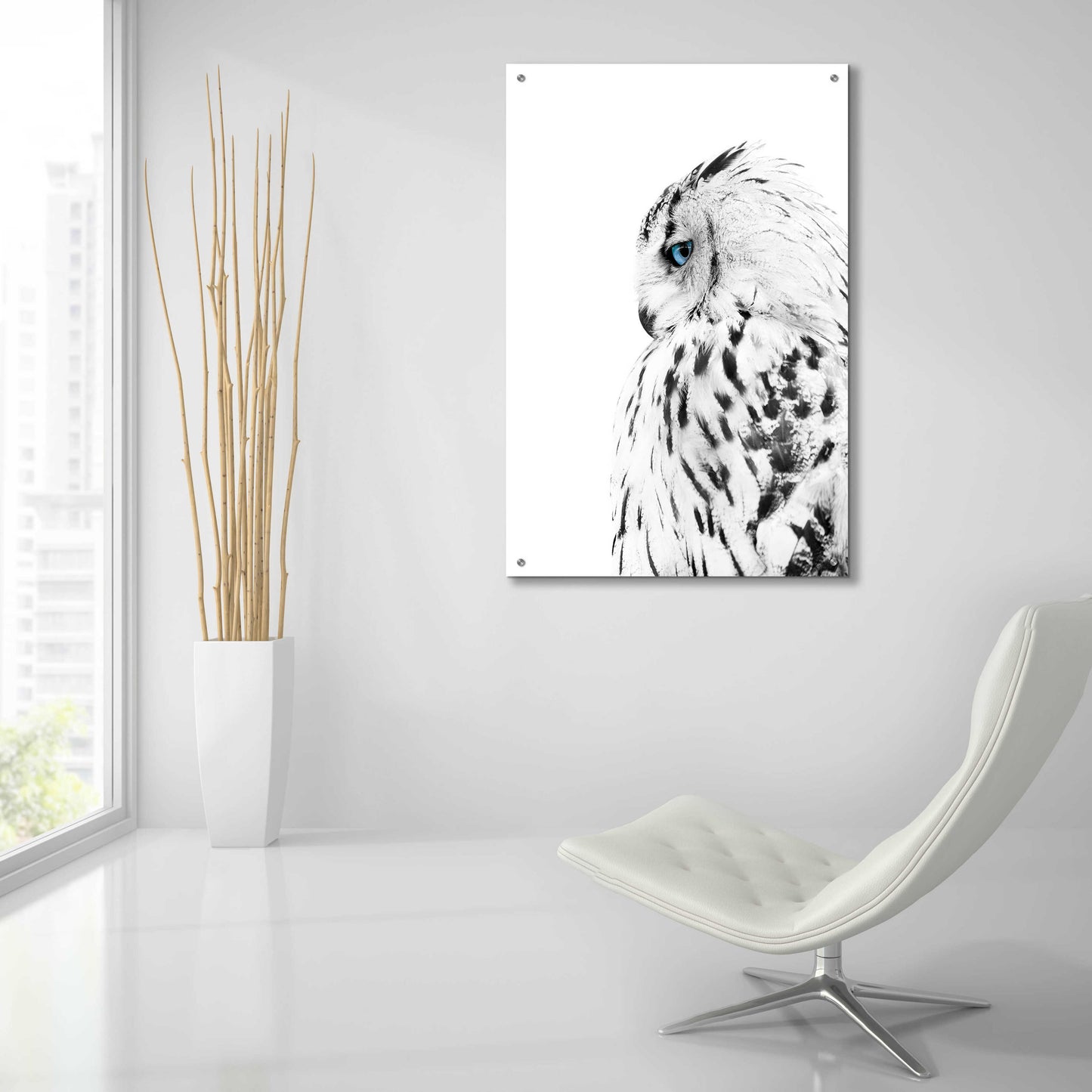 Epic Art 'White Owl' by Design Fabrikken, Acrylic Glass Wall Art,24x36