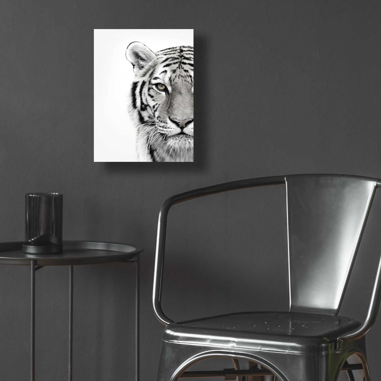 Epic Art 'White Tiger' by Design Fabrikken, Acrylic Glass Wall Art,12x16