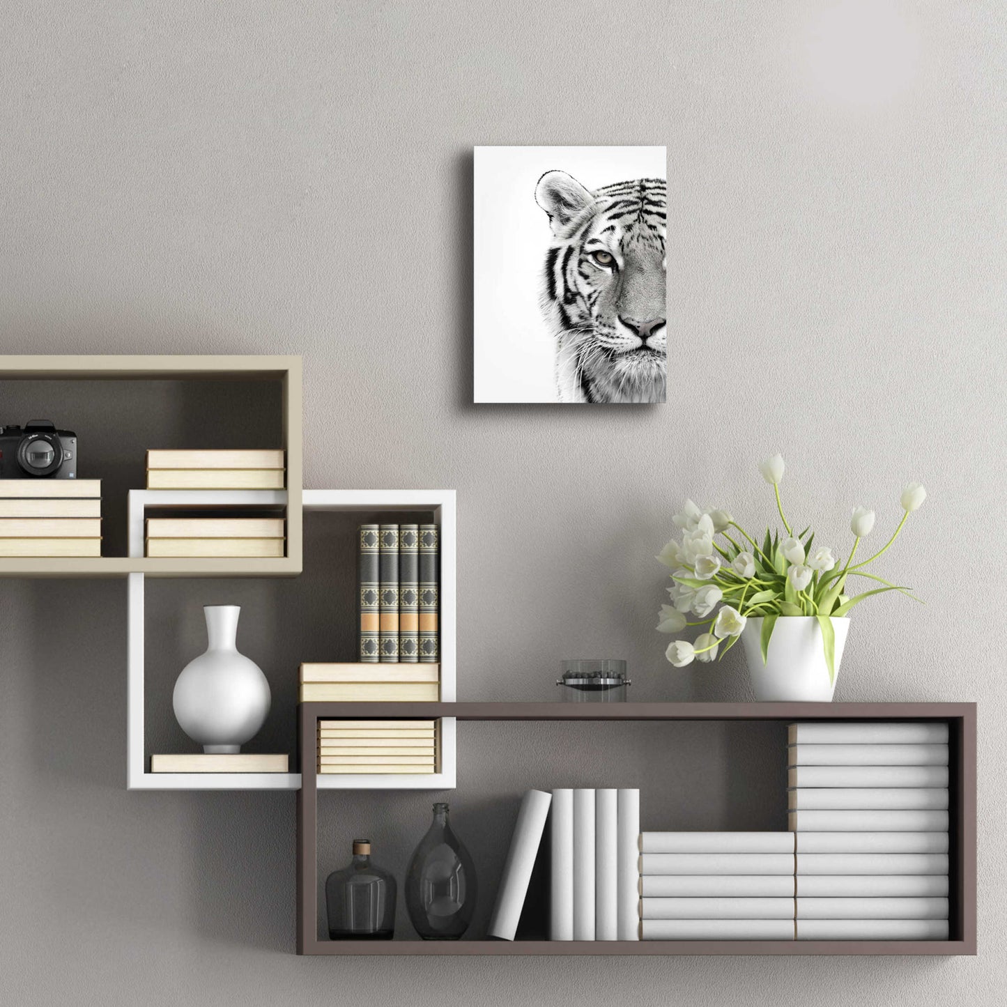 Epic Art 'White Tiger' by Design Fabrikken, Acrylic Glass Wall Art,12x16