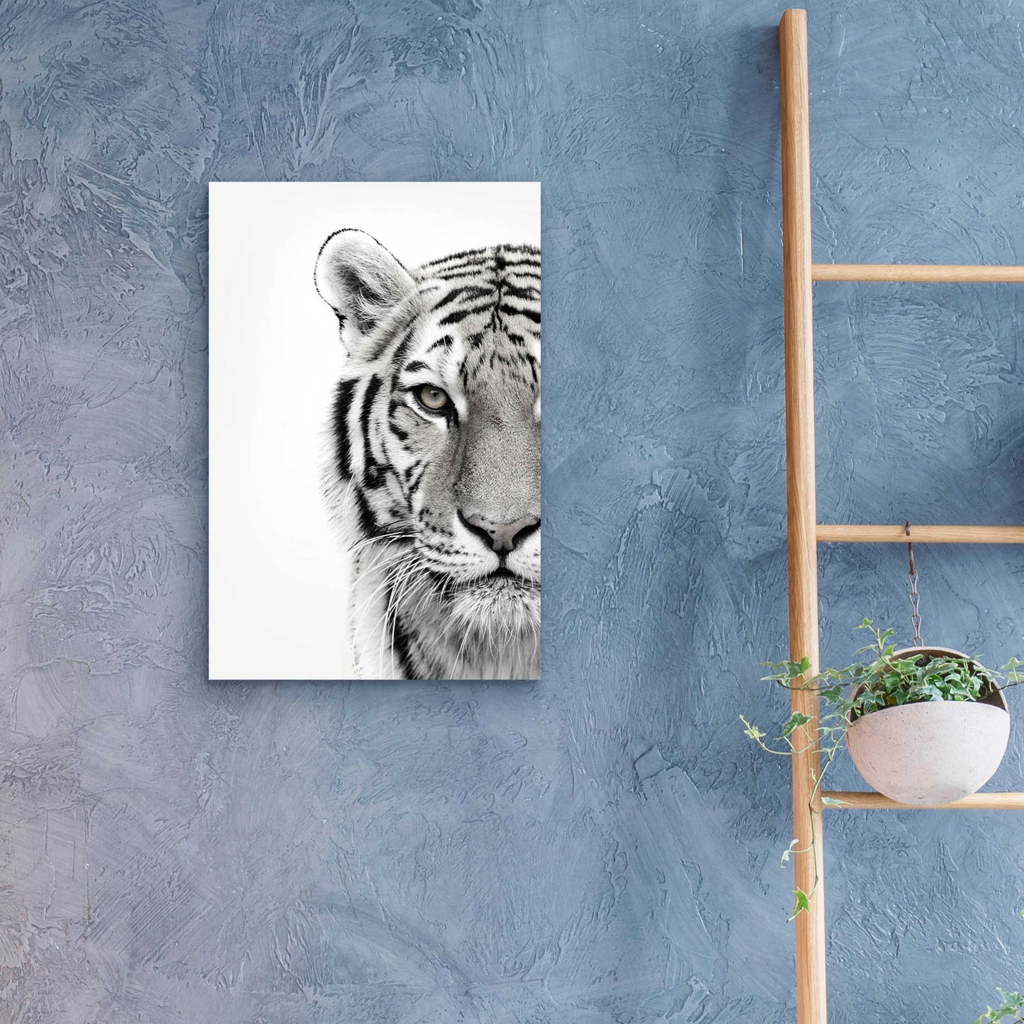 Epic Art 'White Tiger' by Design Fabrikken, Acrylic Glass Wall Art,16x24