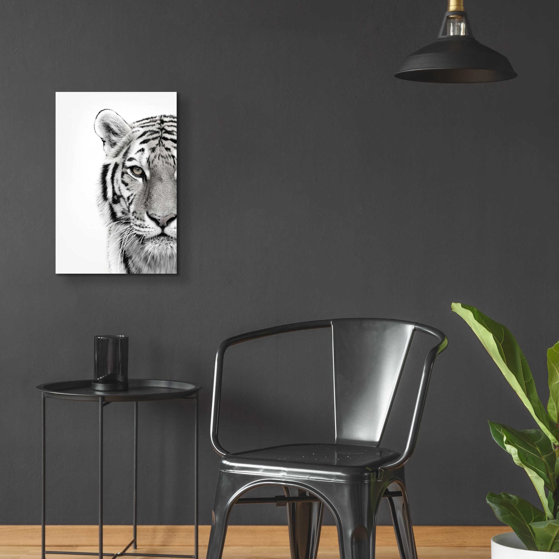 Epic Art 'White Tiger' by Design Fabrikken, Acrylic Glass Wall Art,16x24