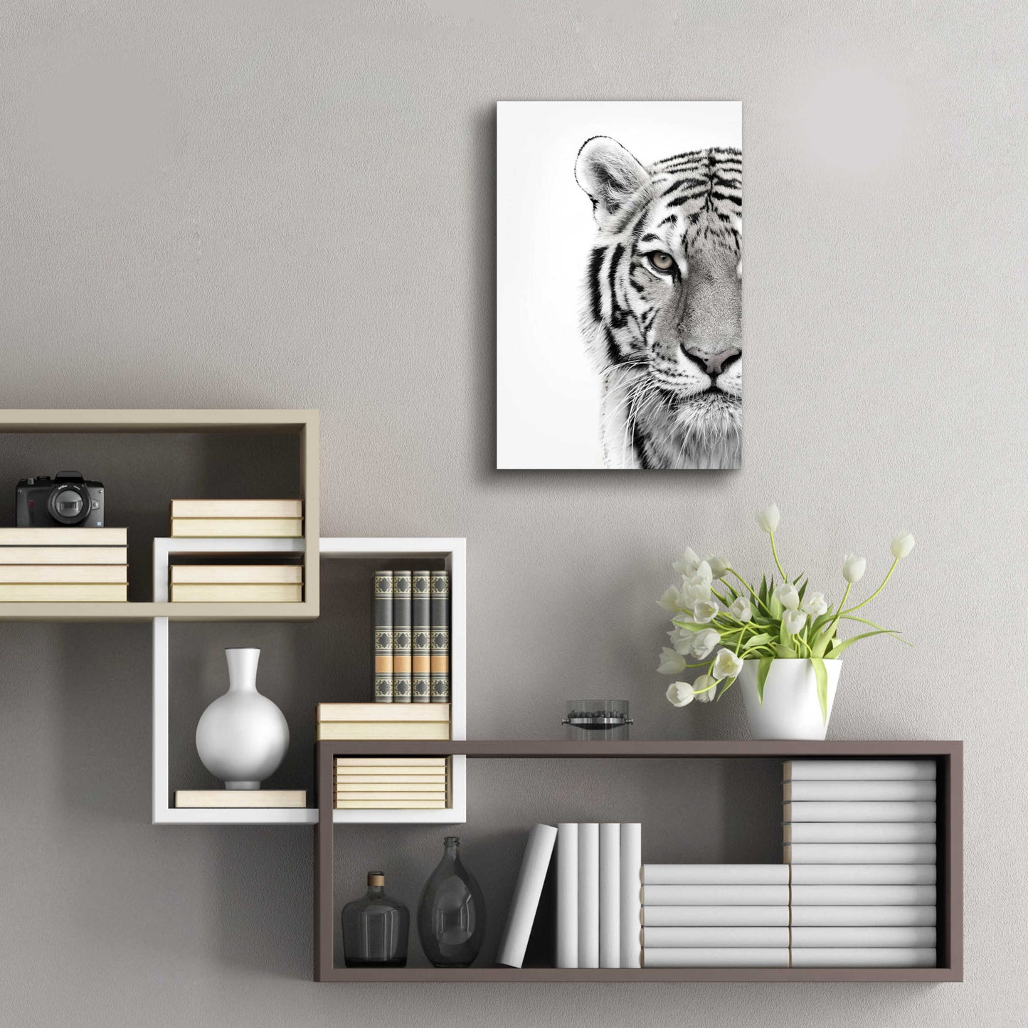 Epic Art 'White Tiger' by Design Fabrikken, Acrylic Glass Wall Art,16x24