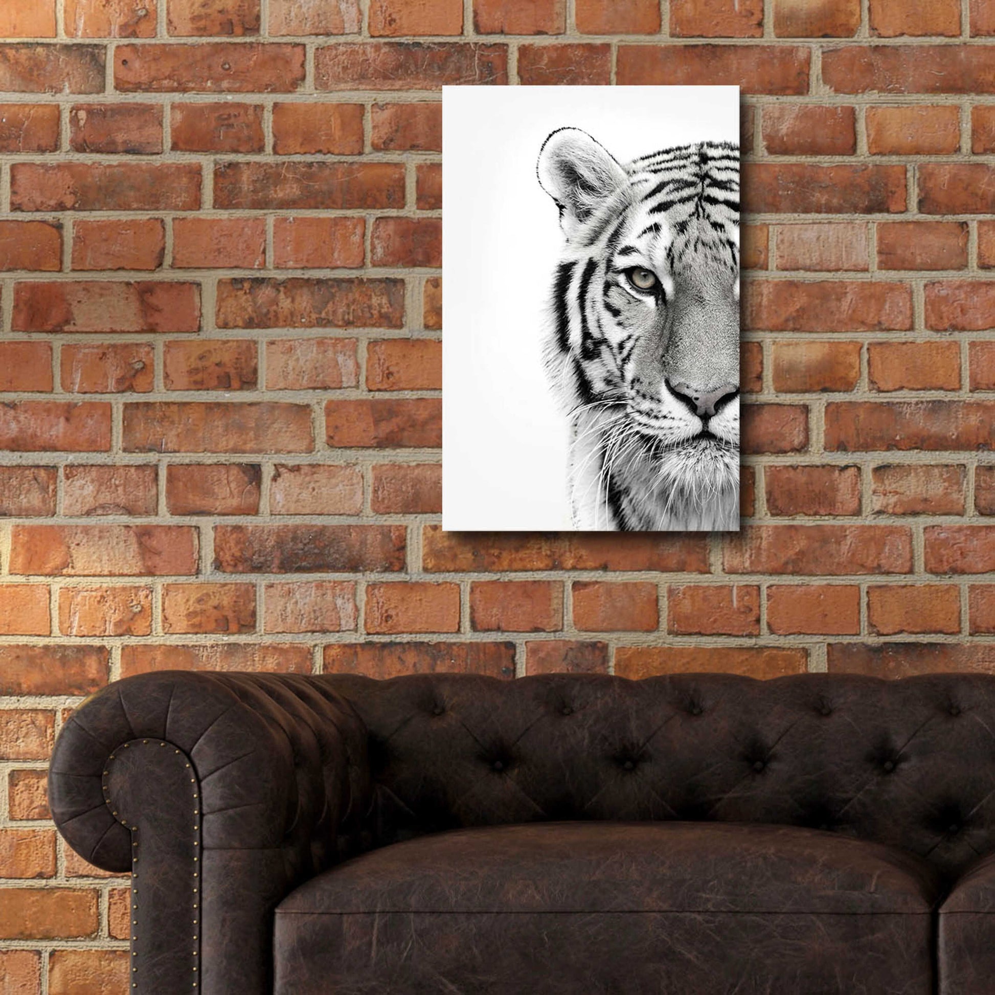 Epic Art 'White Tiger' by Design Fabrikken, Acrylic Glass Wall Art,16x24