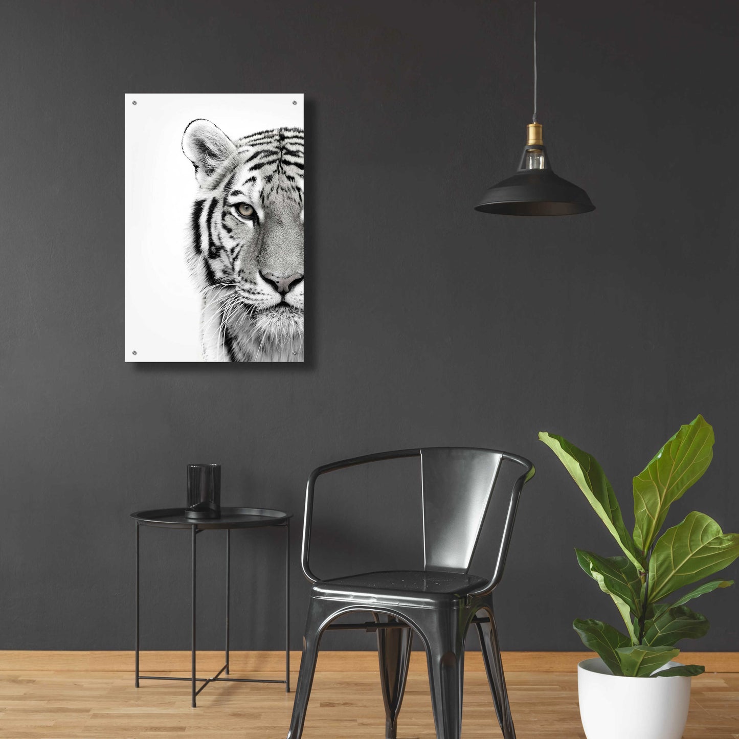 Epic Art 'White Tiger' by Design Fabrikken, Acrylic Glass Wall Art,24x36