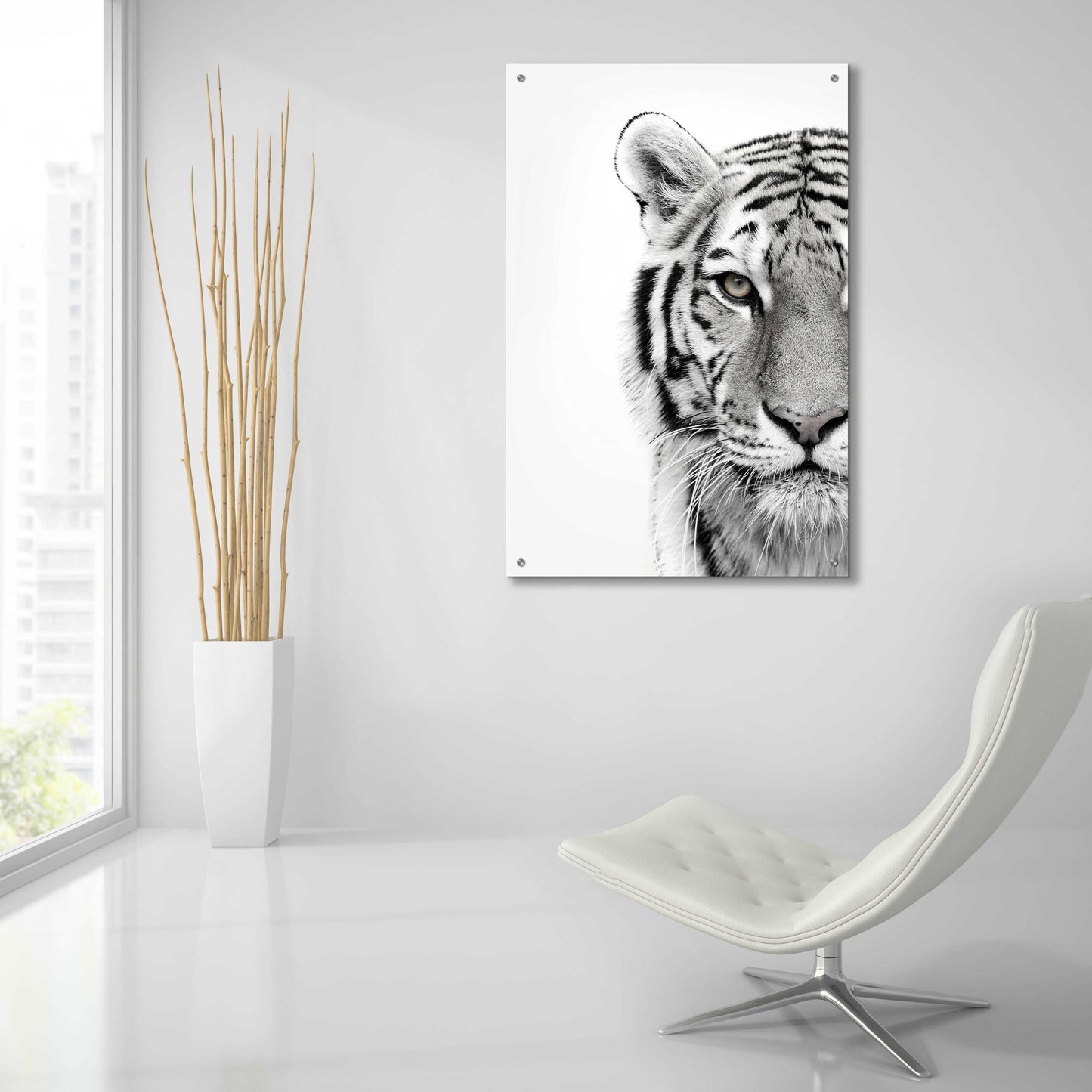 Epic Art 'White Tiger' by Design Fabrikken, Acrylic Glass Wall Art,24x36