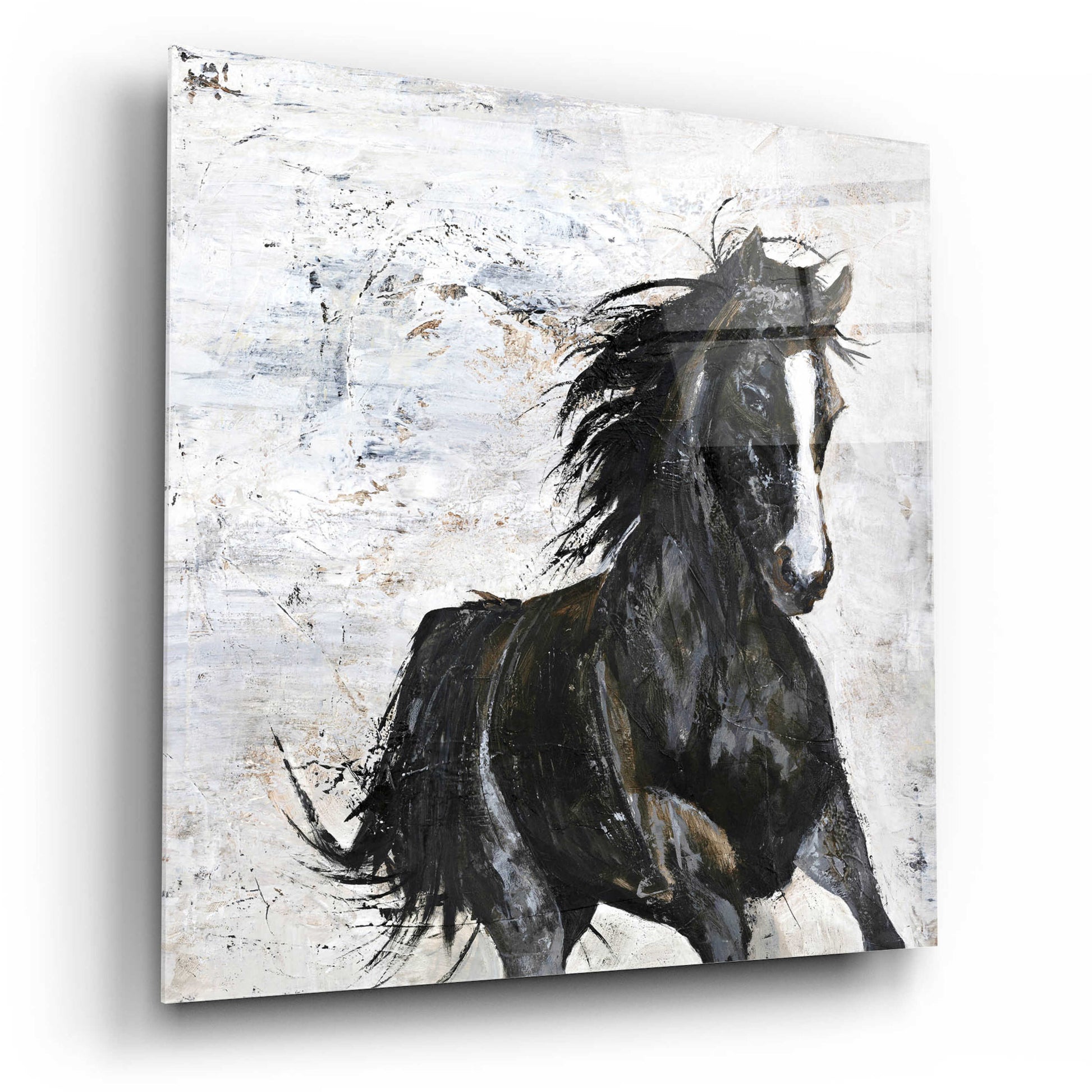 Epic Art 'Wild Horse 1' by Design Fabrikken, Acrylic Glass Wall Art,12x12