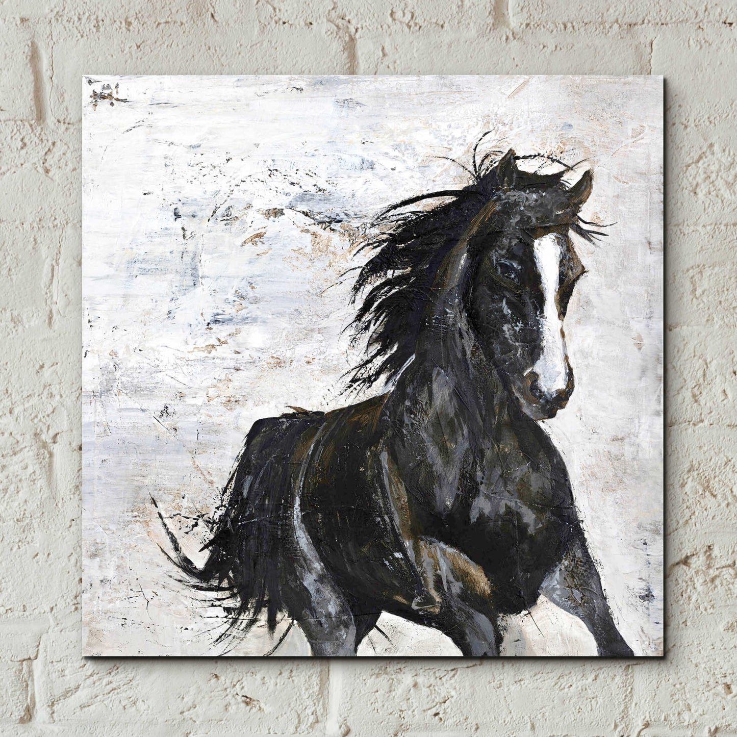 Epic Art 'Wild Horse 1' by Design Fabrikken, Acrylic Glass Wall Art,12x12