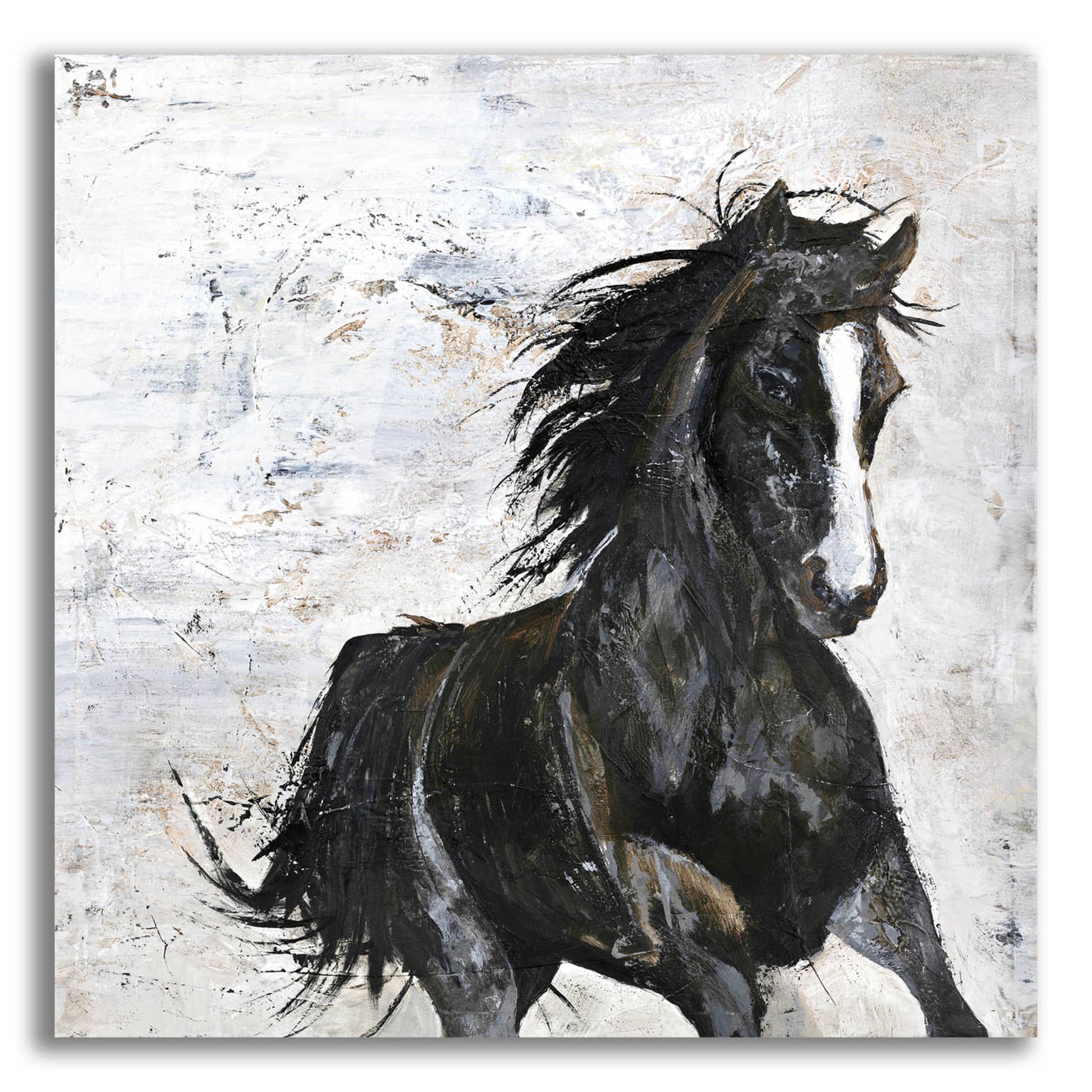 Epic Art 'Wild Horse 1' by Design Fabrikken, Acrylic Glass Wall Art,12x12