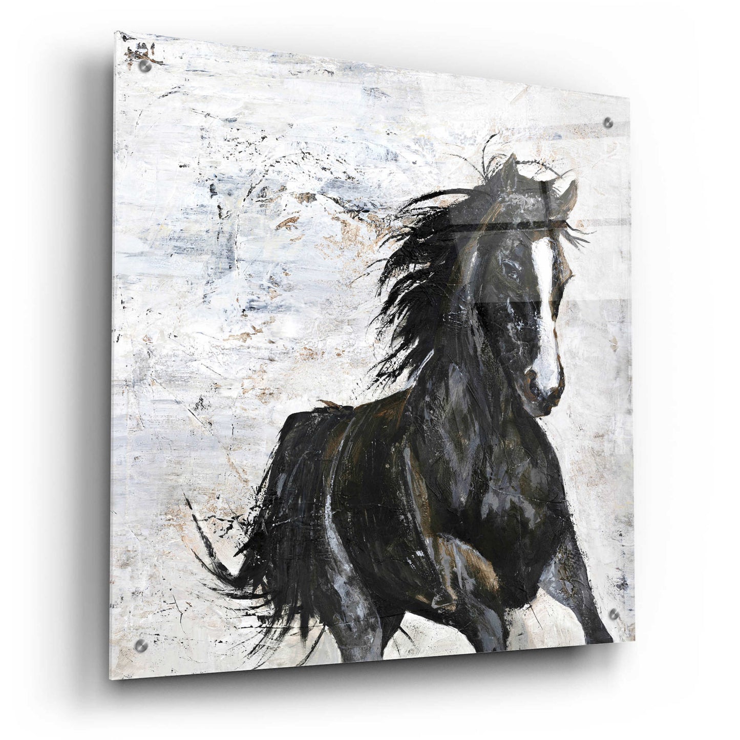 Epic Art 'Wild Horse 1' by Design Fabrikken, Acrylic Glass Wall Art,24x24