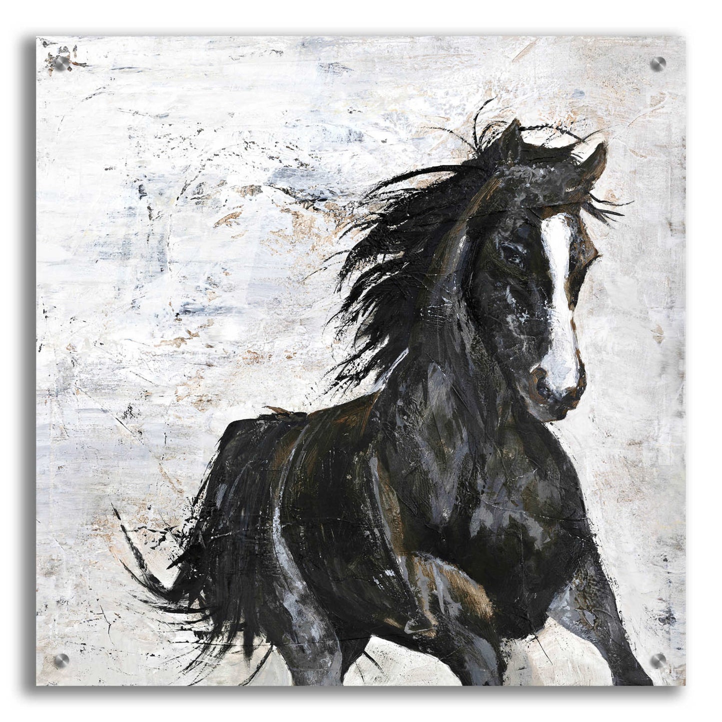 Epic Art 'Wild Horse 1' by Design Fabrikken, Acrylic Glass Wall Art,24x24