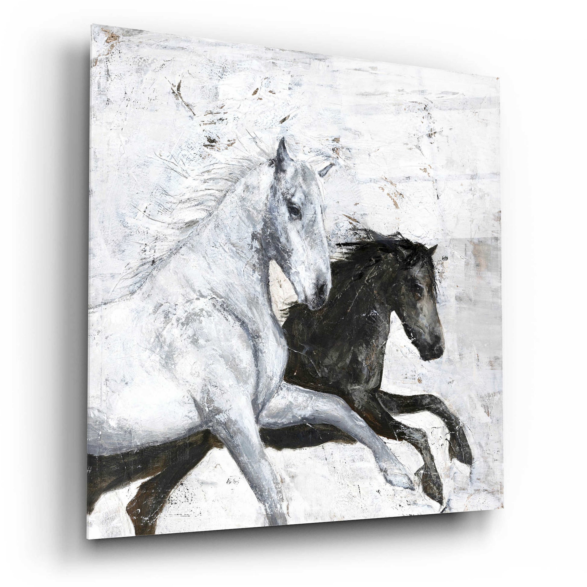 Epic Art 'Wild Horse 2' by Design Fabrikken, Acrylic Glass Wall Art,12x12