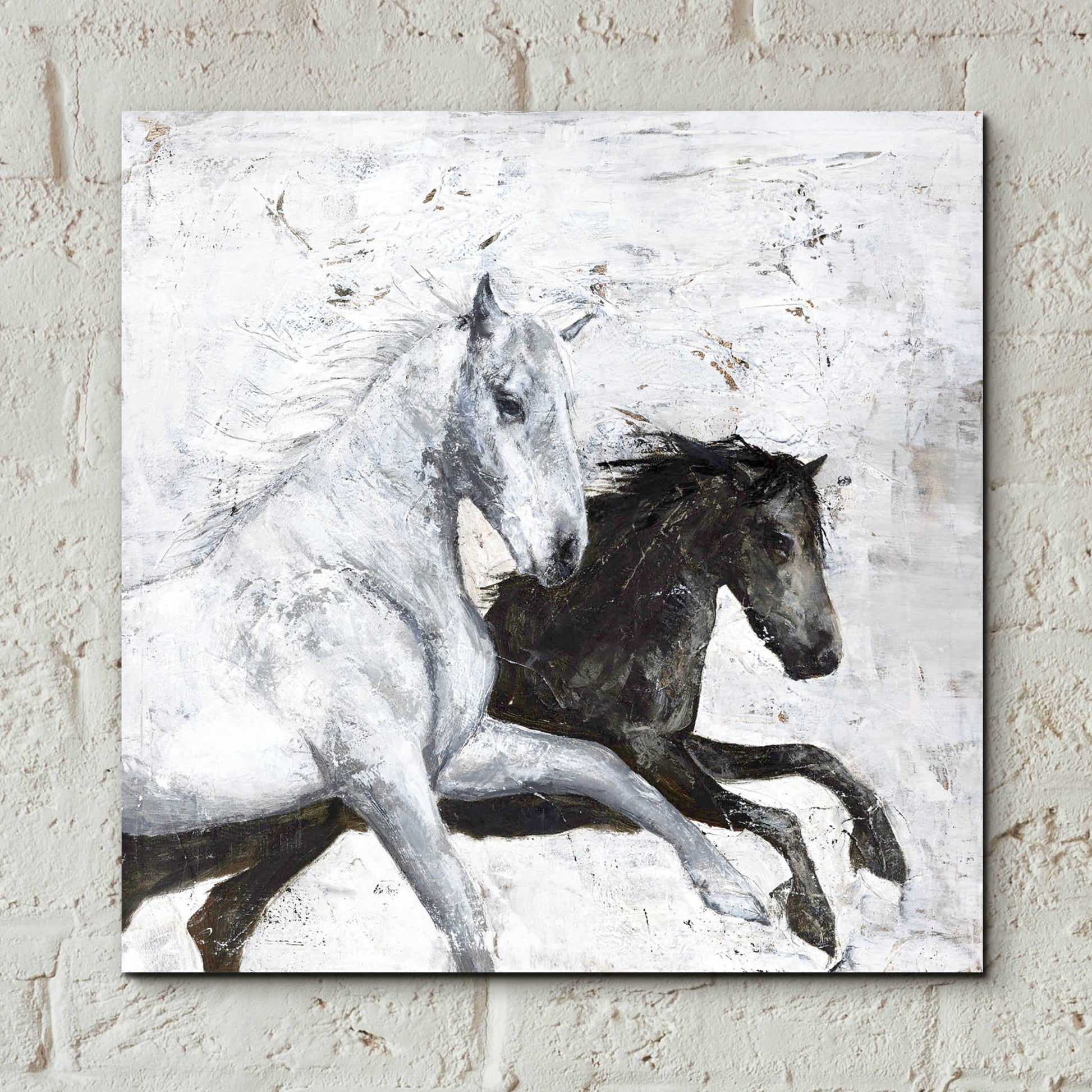 Epic Art 'Wild Horse 2' by Design Fabrikken, Acrylic Glass Wall Art,12x12