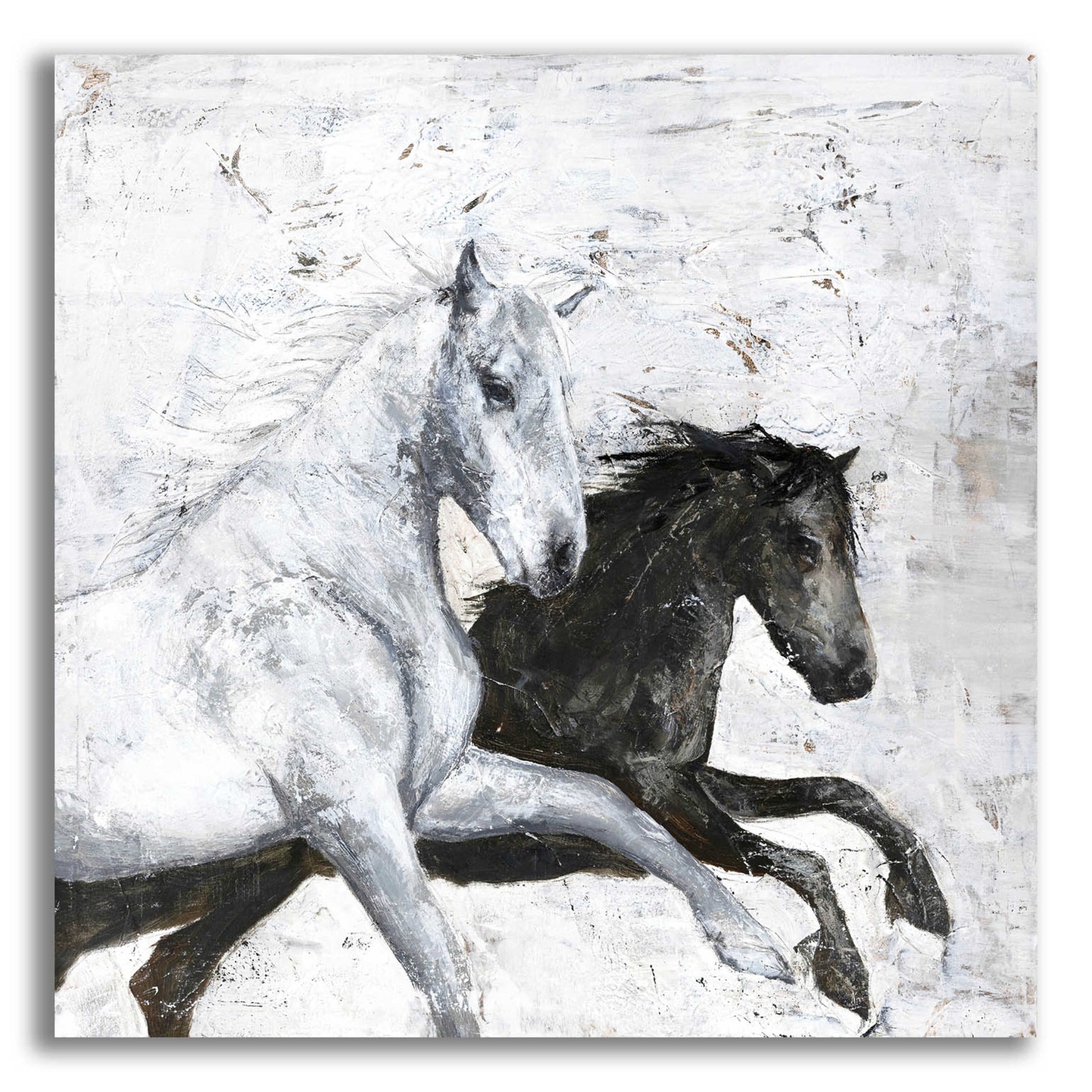 Epic Art 'Wild Horse 2' by Design Fabrikken, Acrylic Glass Wall Art,12x12