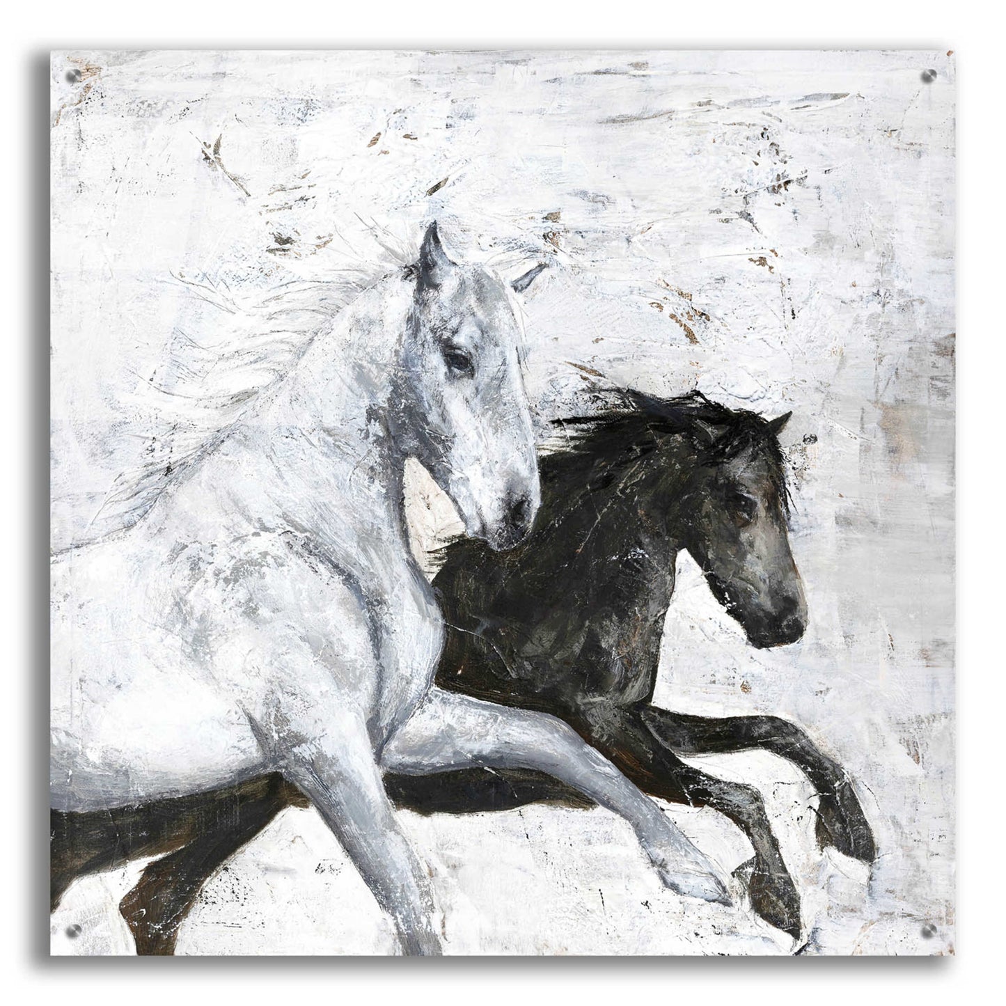 Epic Art 'Wild Horse 2' by Design Fabrikken, Acrylic Glass Wall Art,36x36