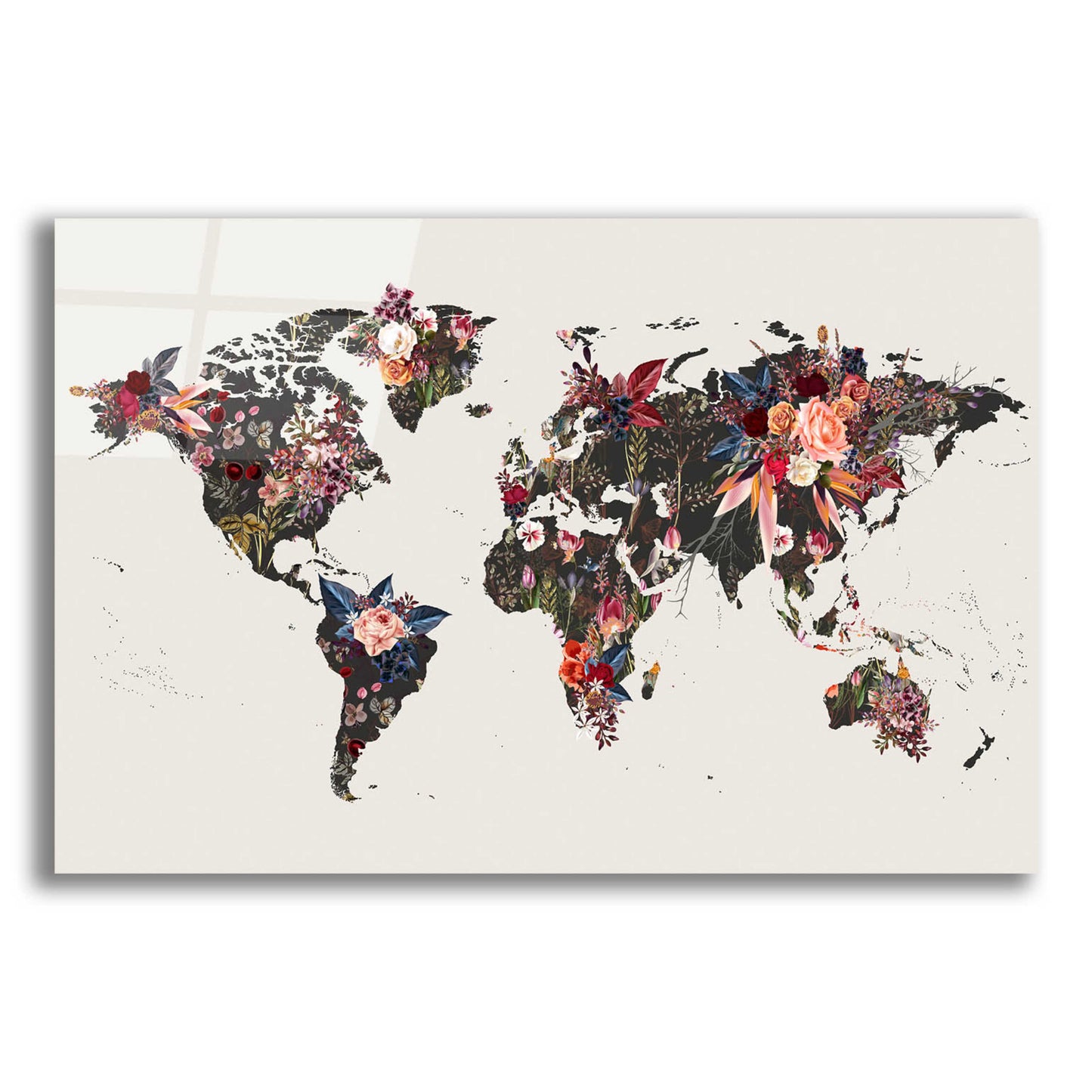 Epic Art 'Worldmap Flowers' by Design Fabrikken, Acrylic Glass Wall Art,16x12