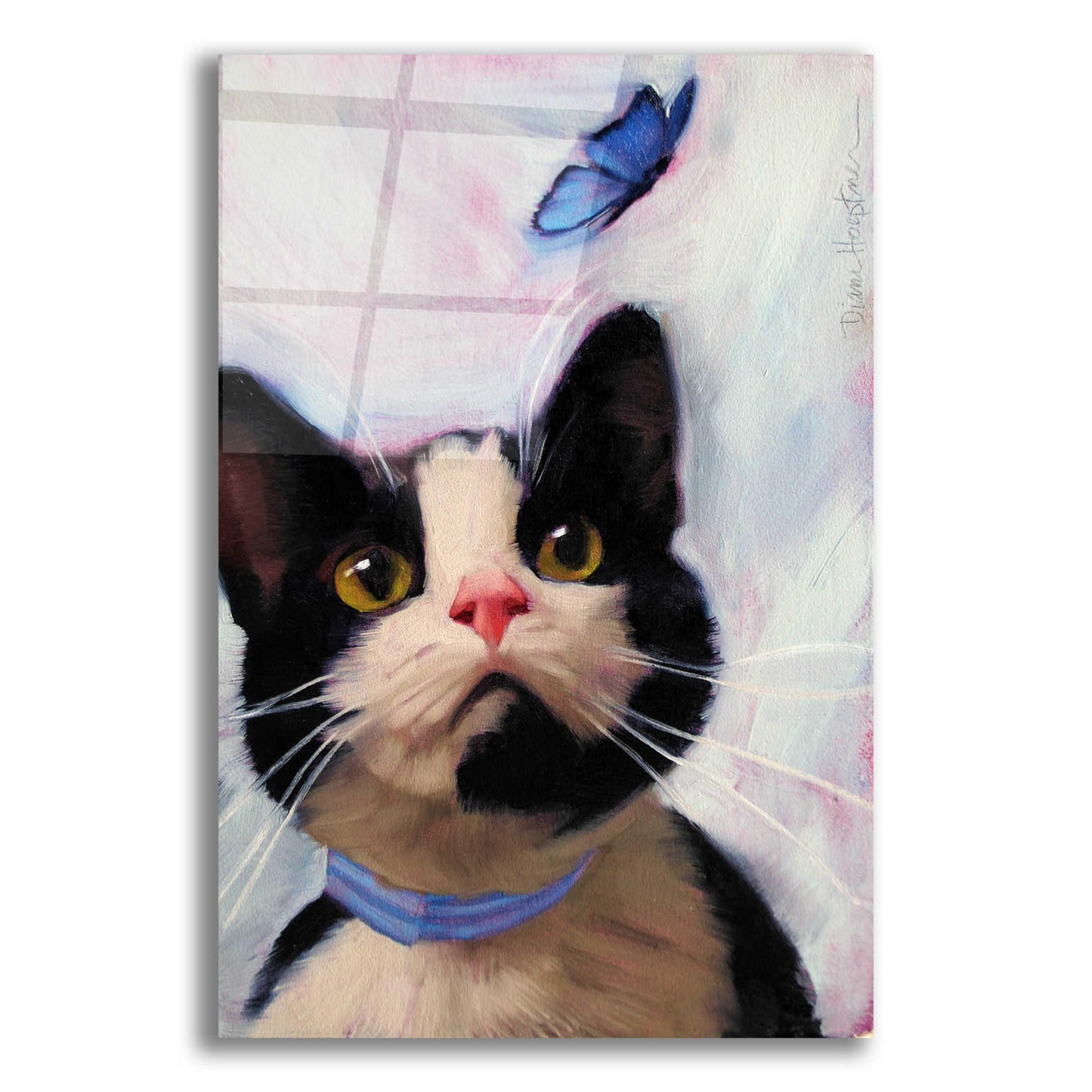 Epic Art 'Cat and Butterfly' by Diane Hoeptner, Acrylic Glass Wall Art,12x16