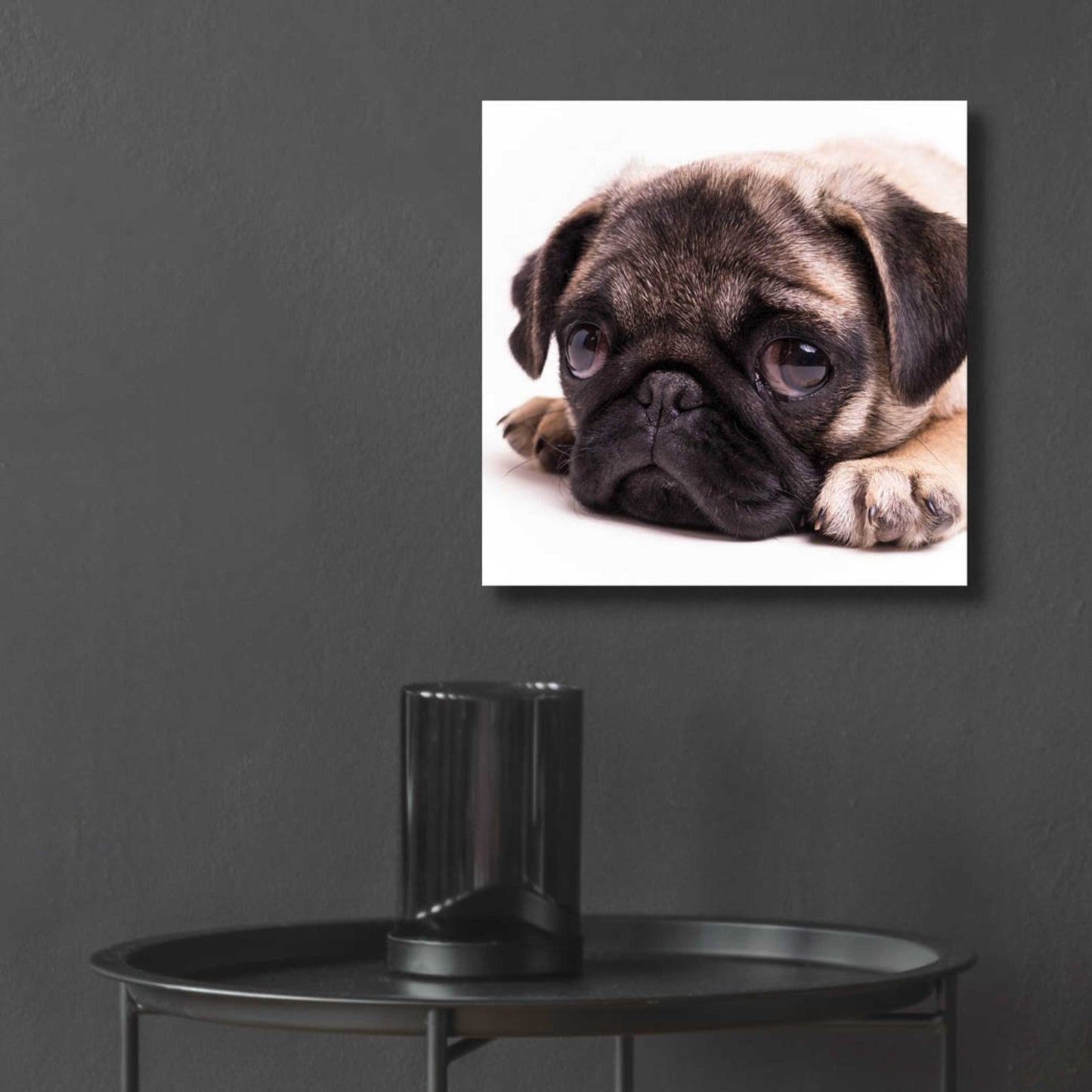 Epic Art 'Sad Sack Pug' by Edward M. Fielding, Acrylic Glass Wall Art,12x12